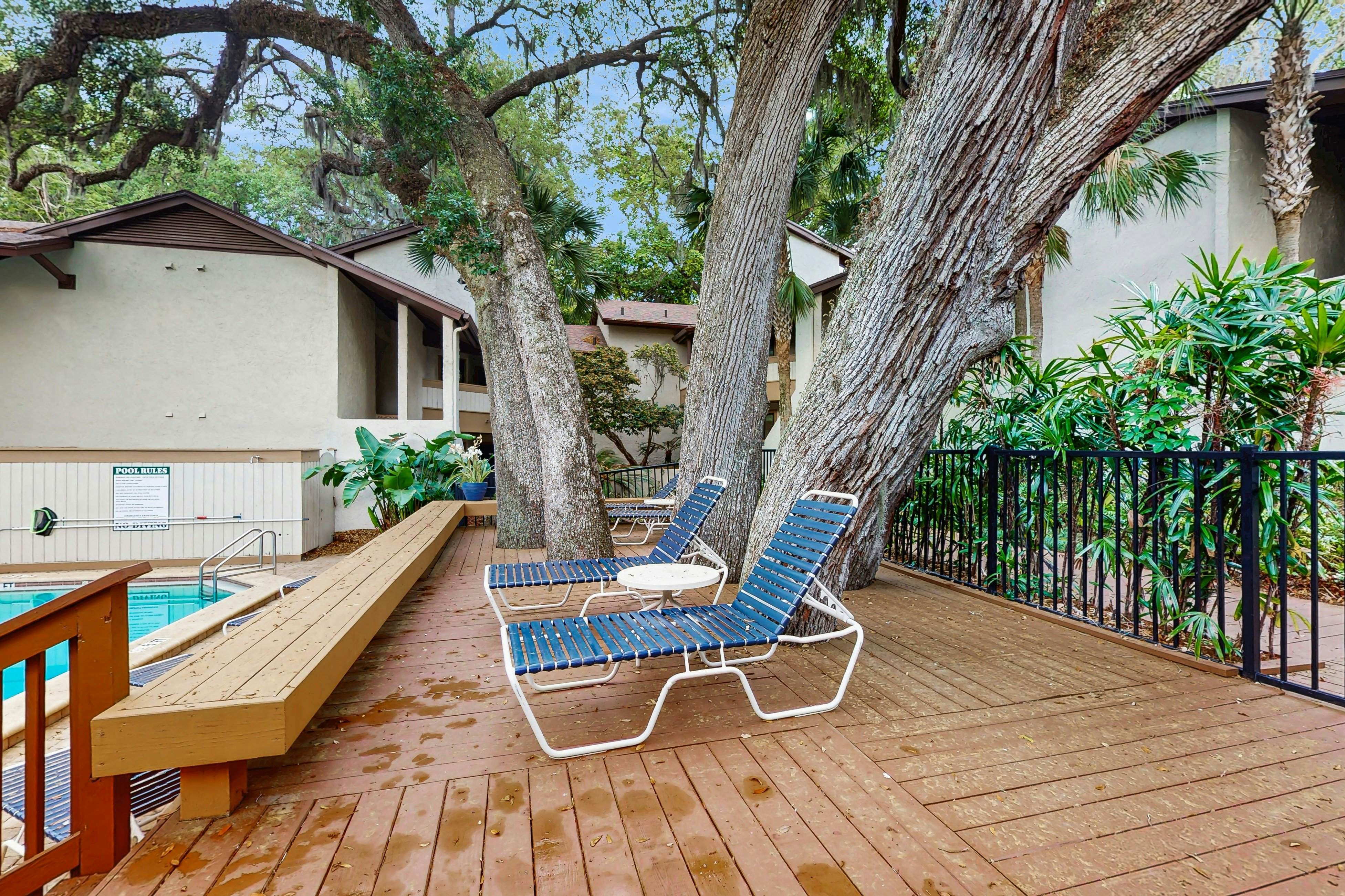 1 Bedroom King Condo - Courtside