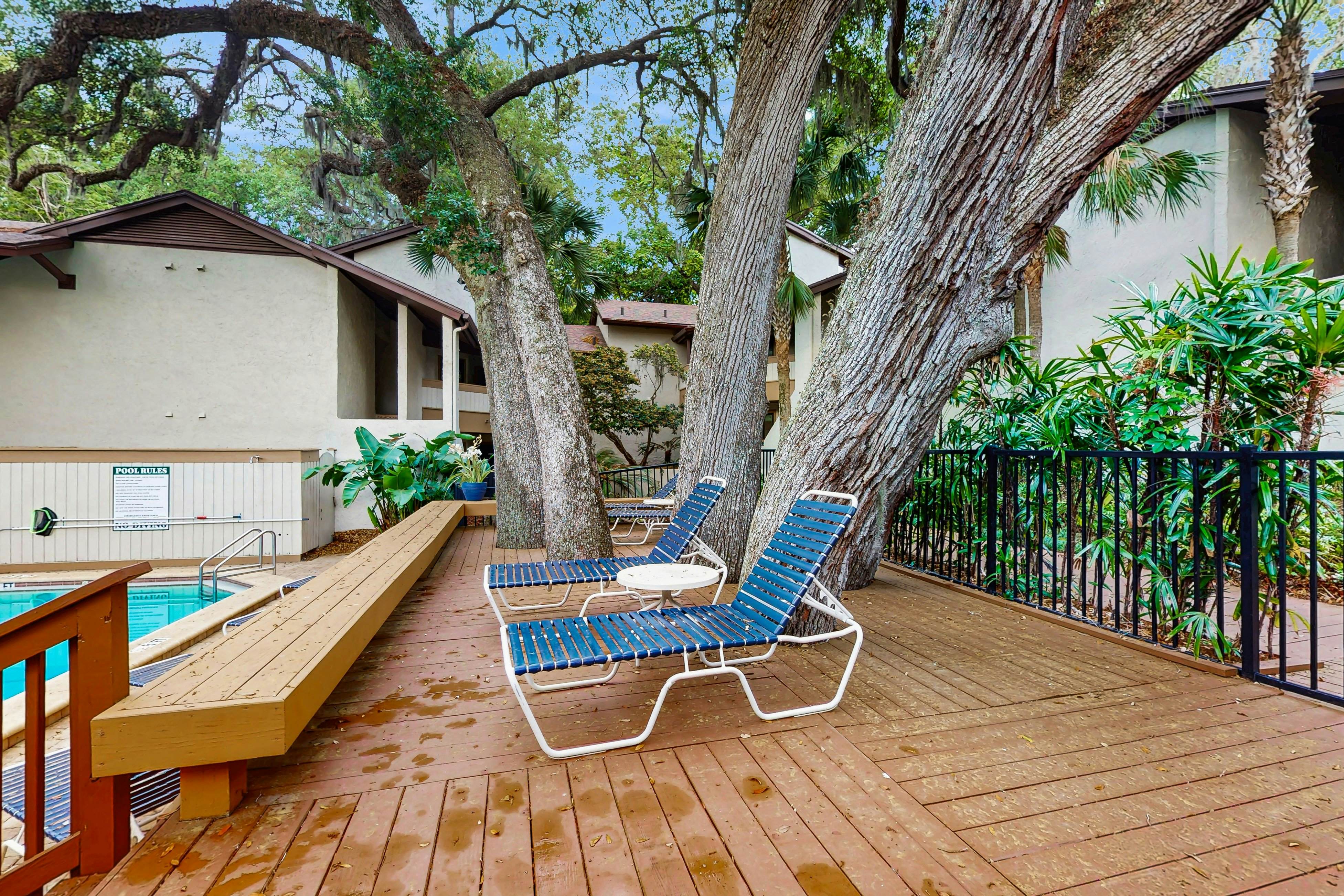 1 Bedroom Queen Studio - Courtside