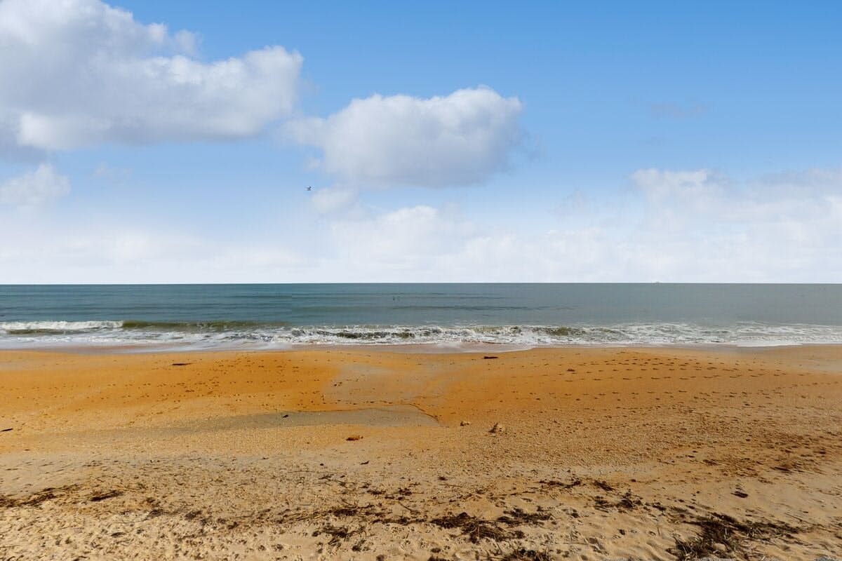 1000 Cinnamon Beach 954