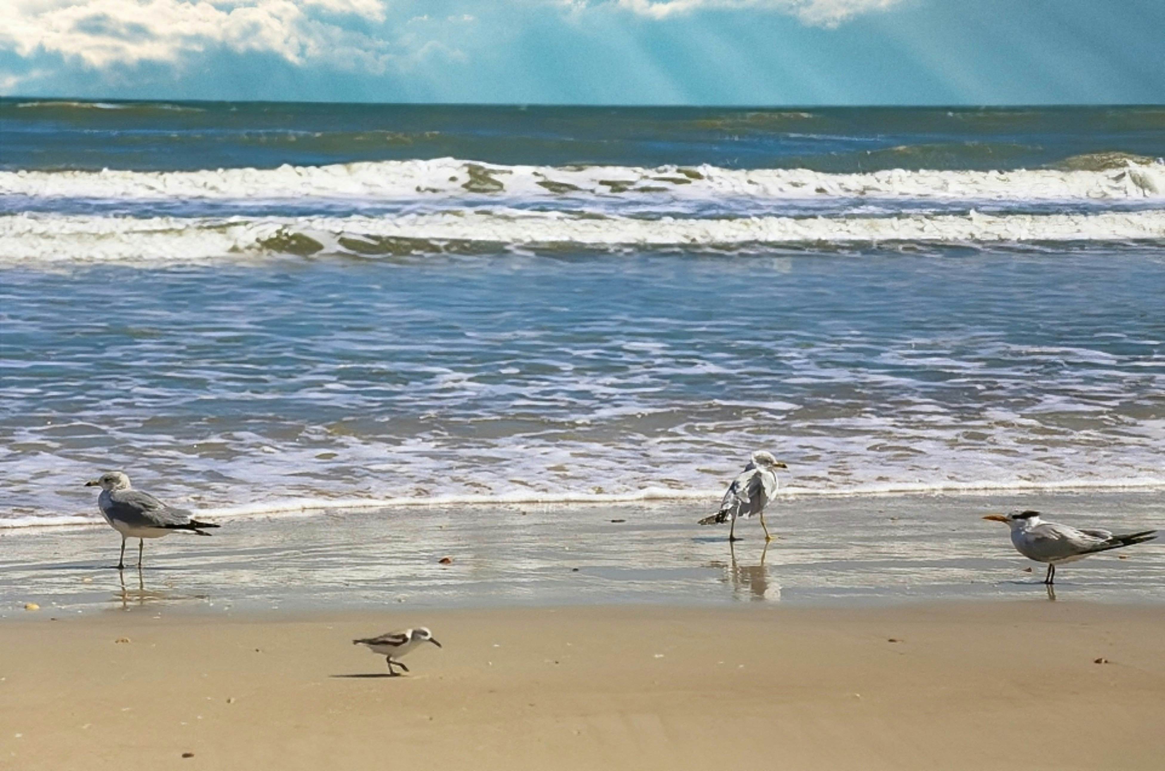 Vilano Beach Dream Full Home, a St Augustine Oasis