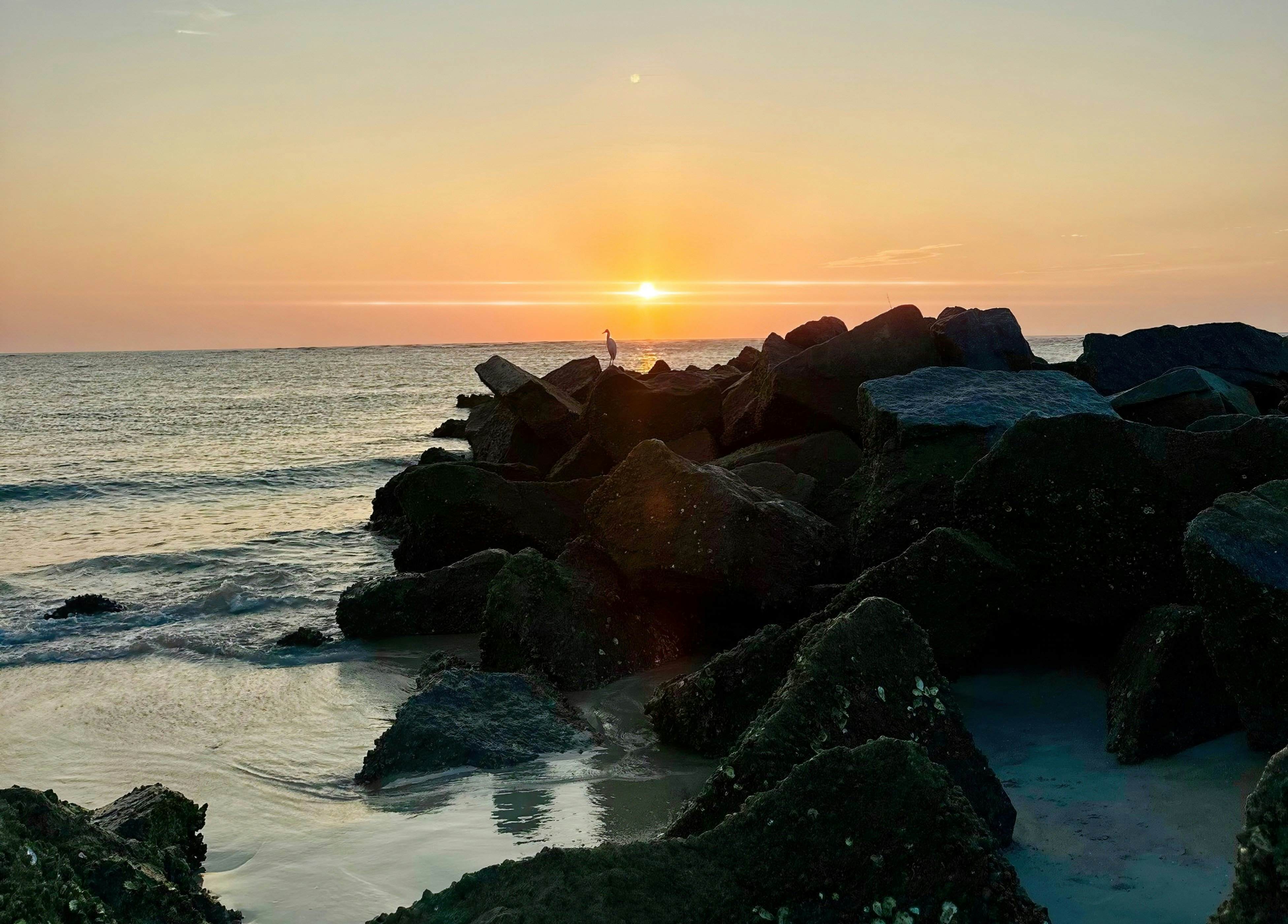 Vilano Beach Dream Full Home, a St Augustine Oasis