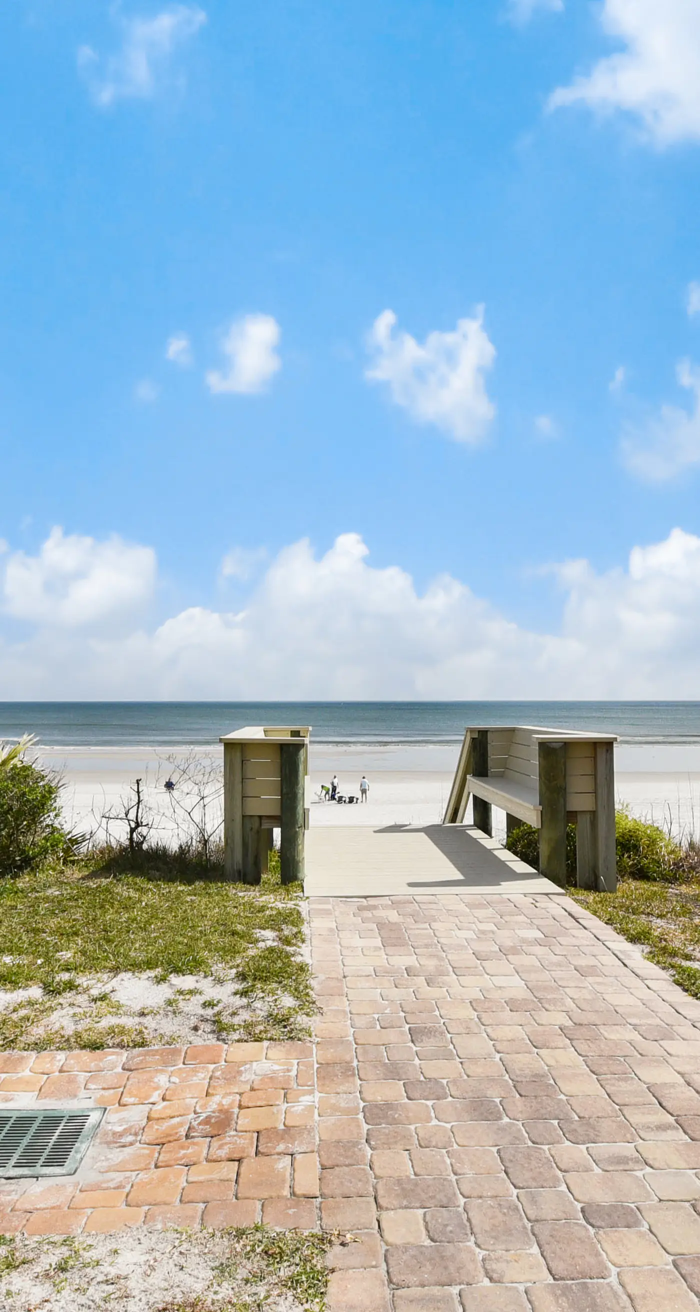 Sand Dollar I 108