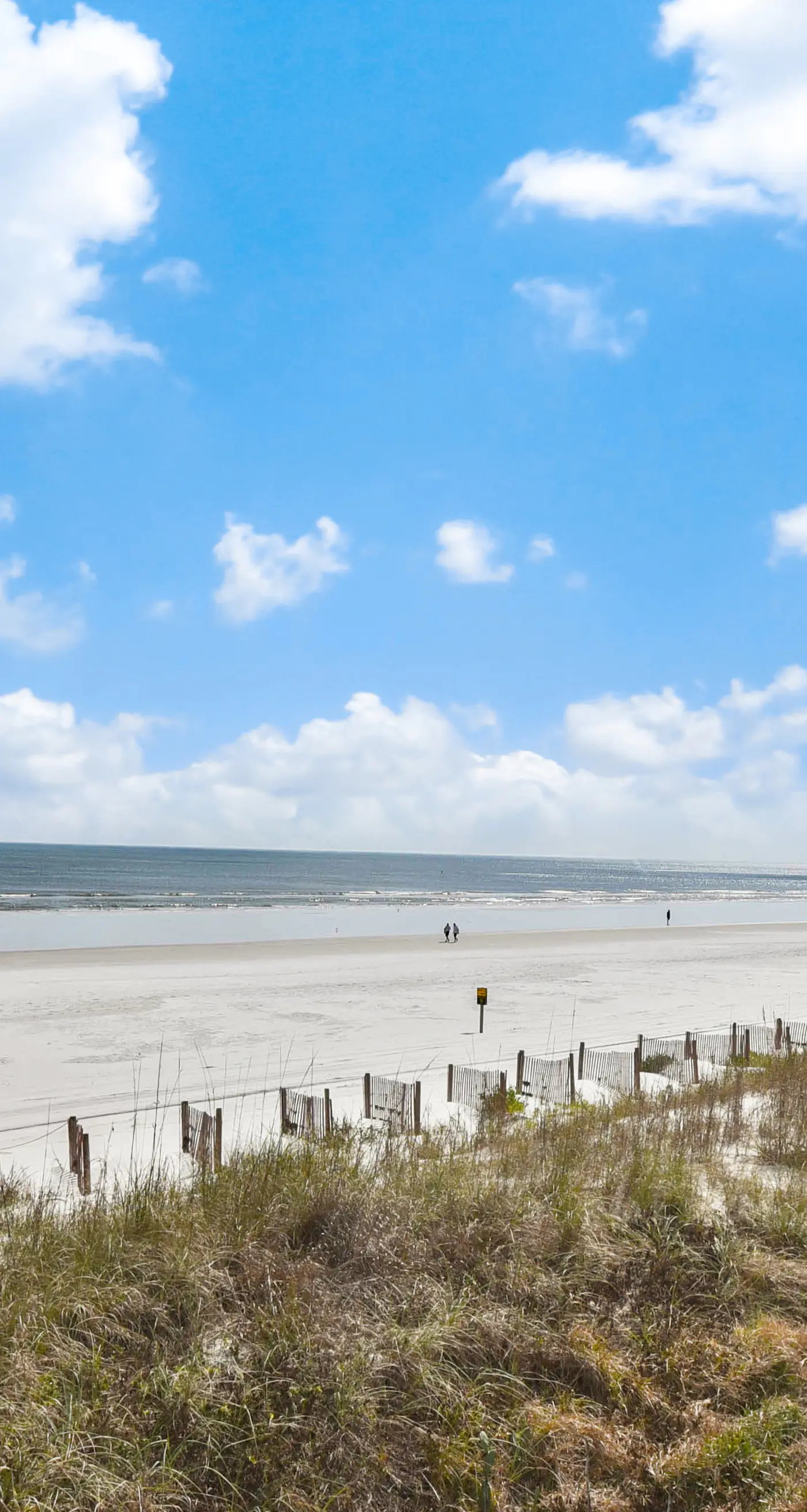 Sand Dollar I 108