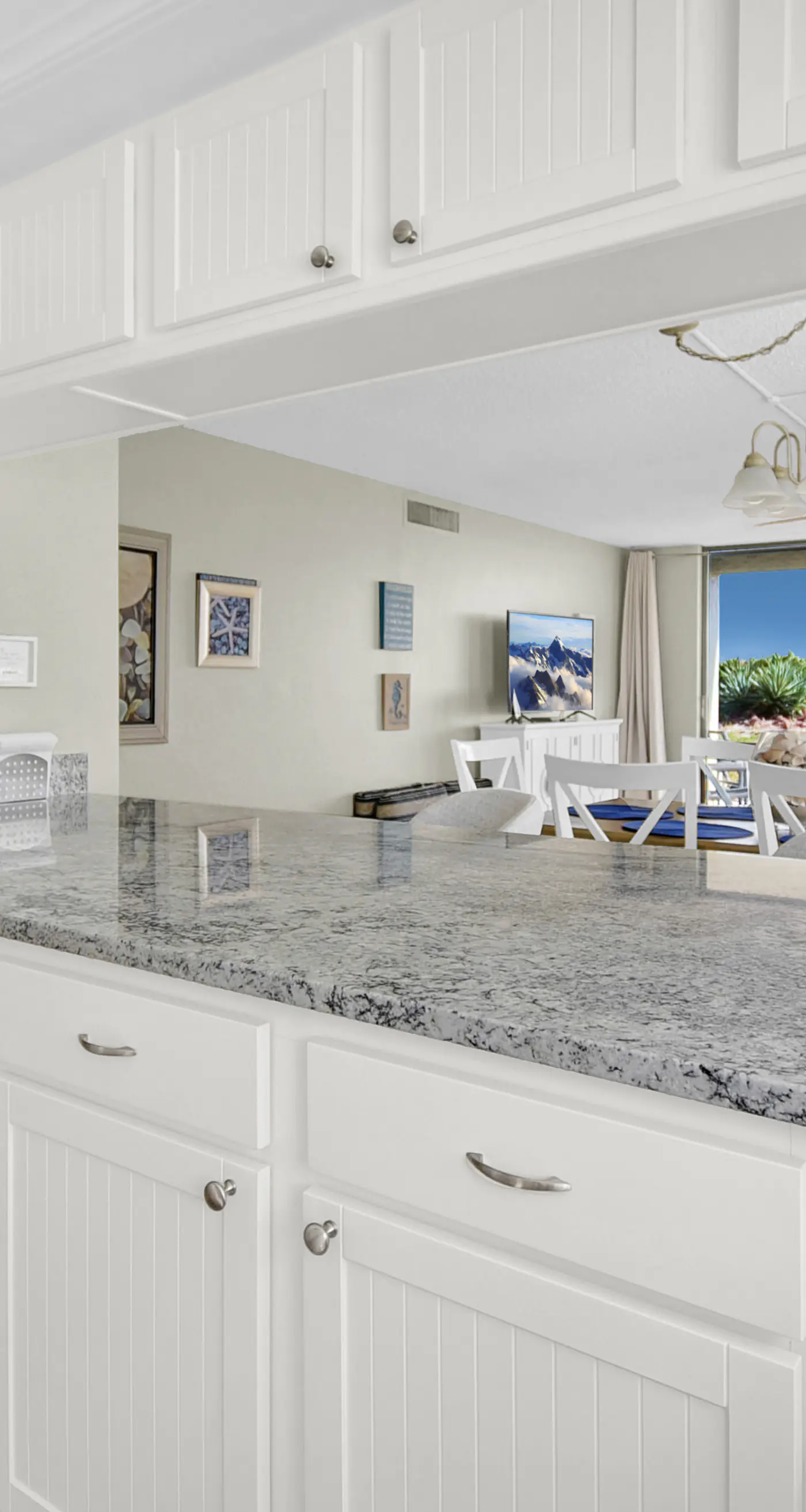 Sand Dollar I 108