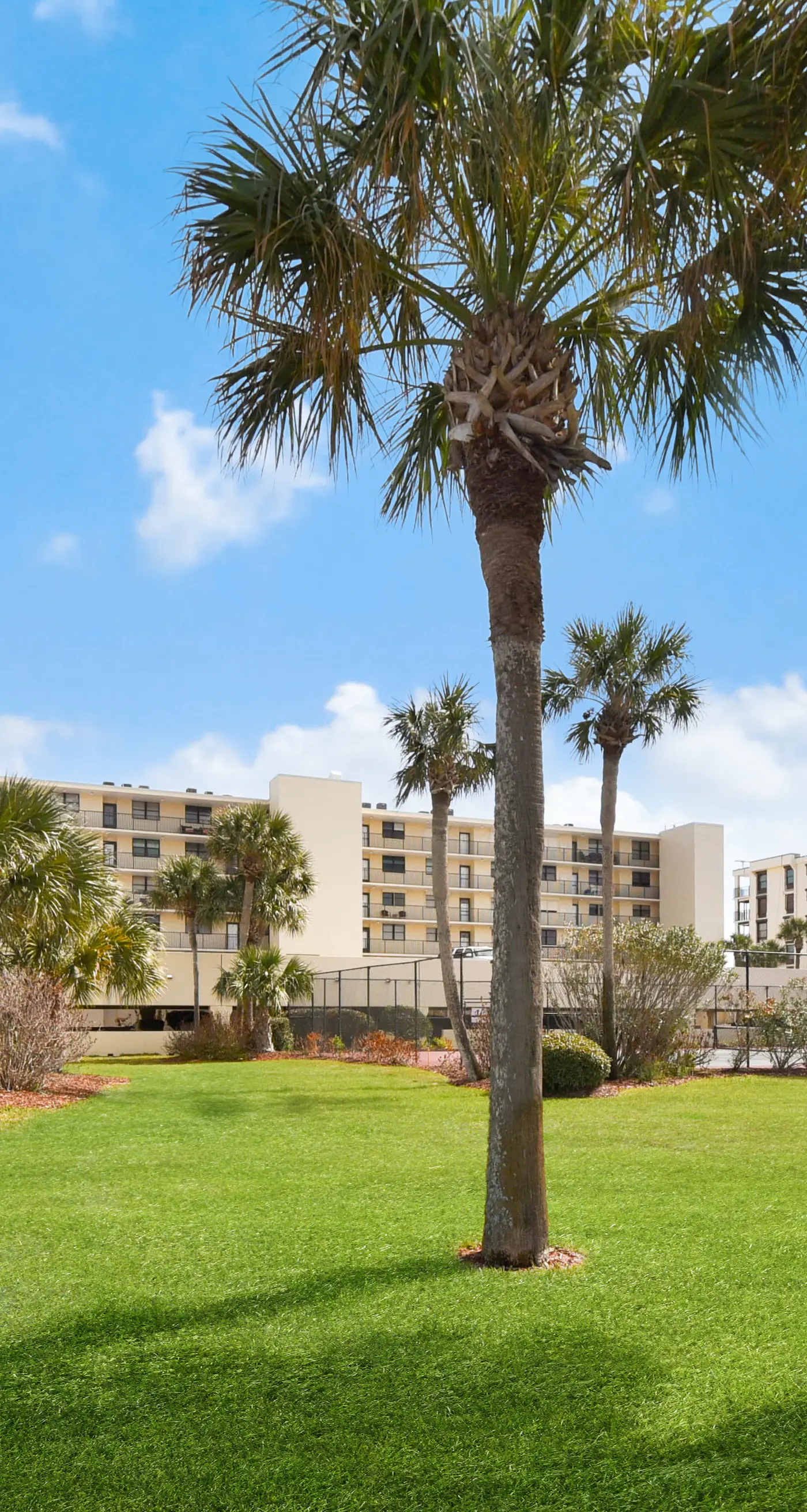 Sand Dollar I 108