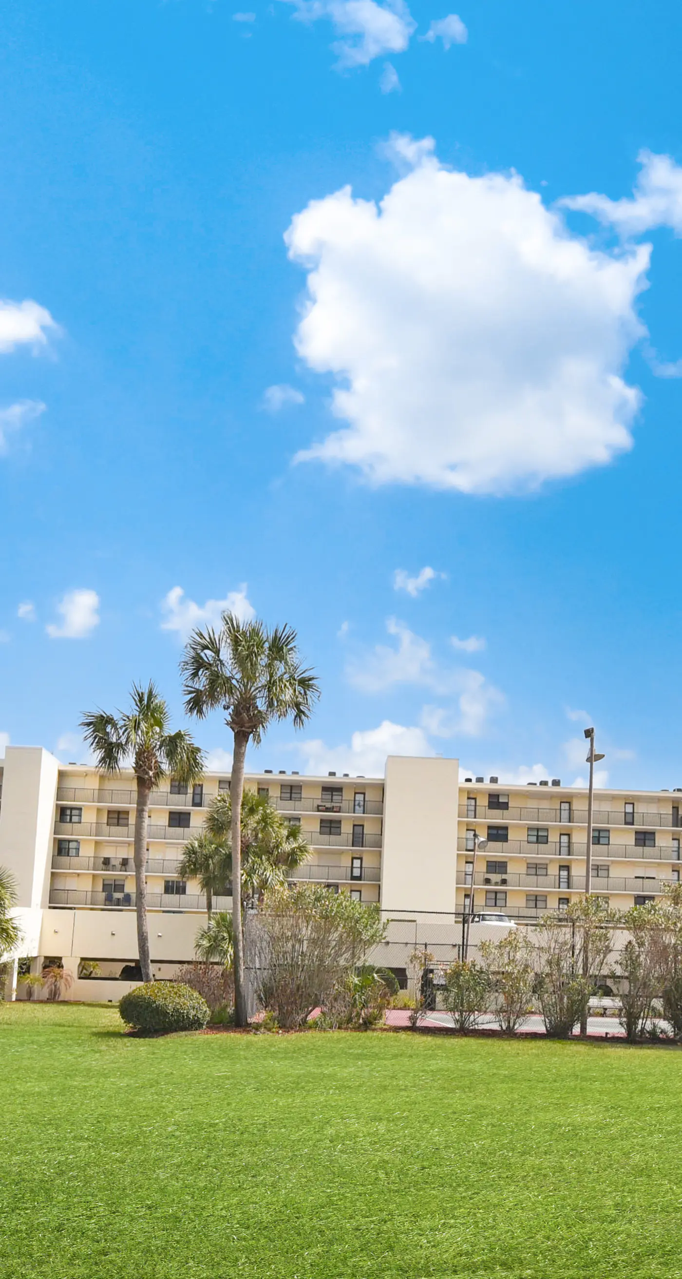 Sand Dollar I 108