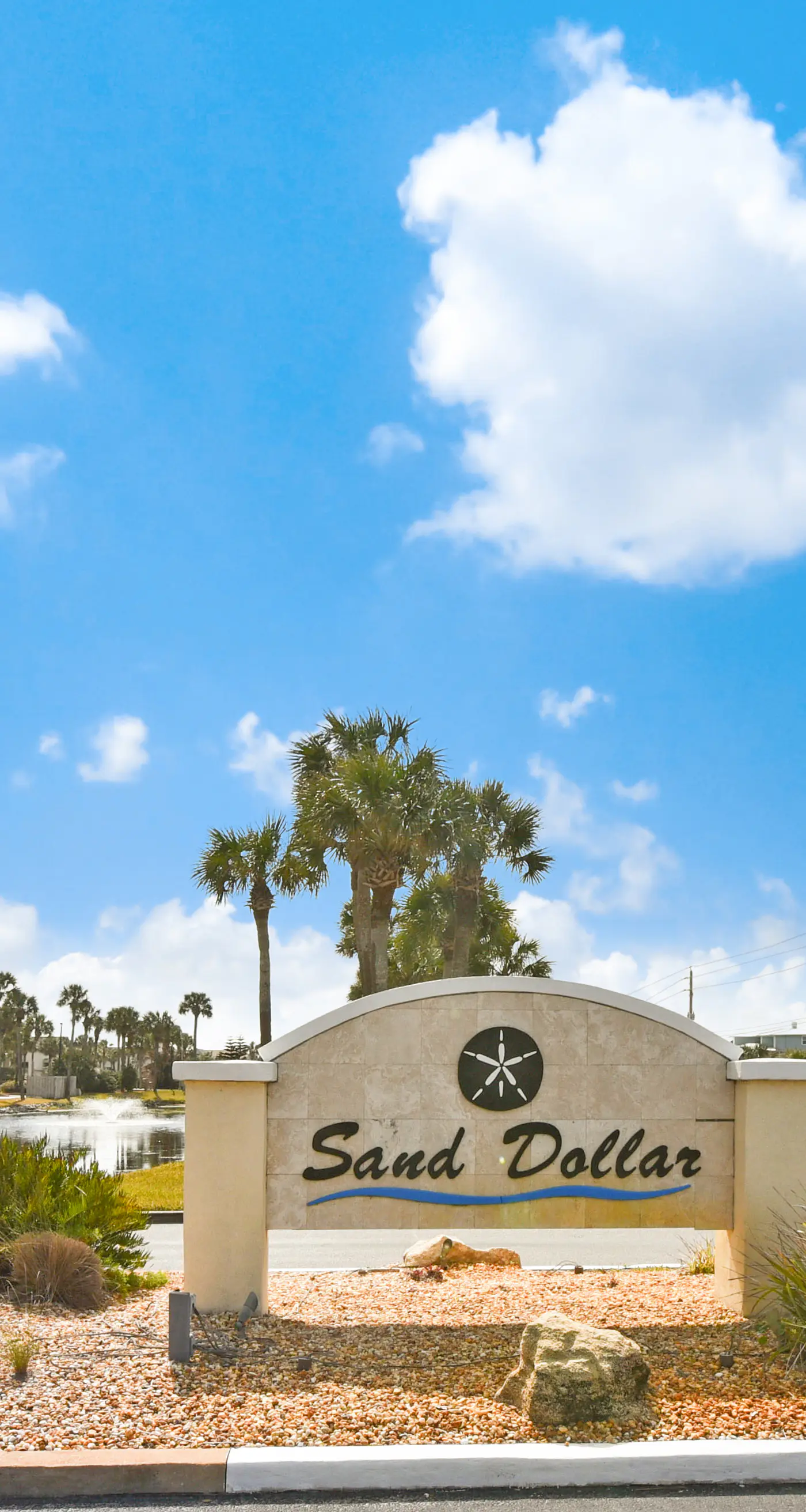 Sand Dollar I 108