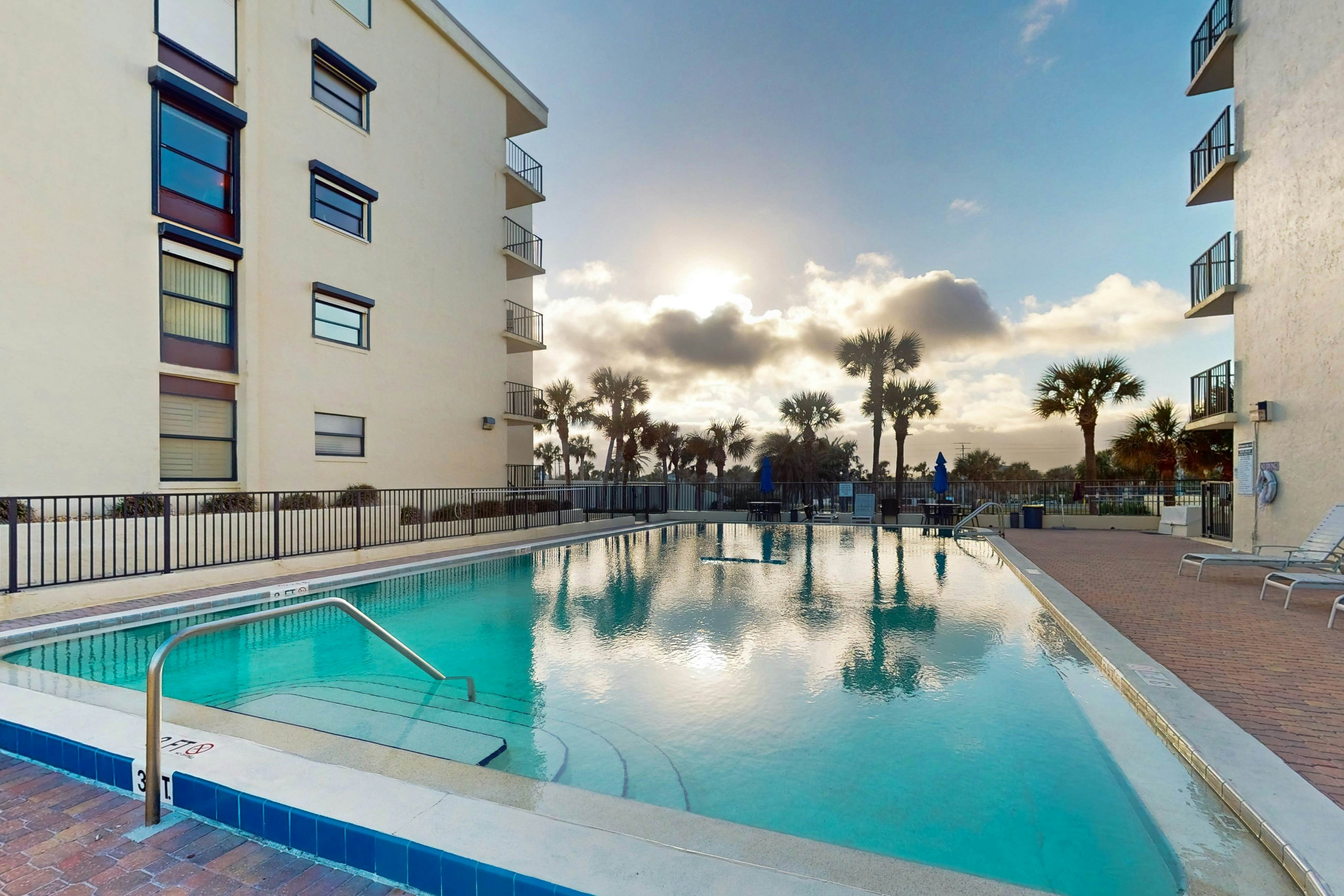 The Golden Sand Dollar