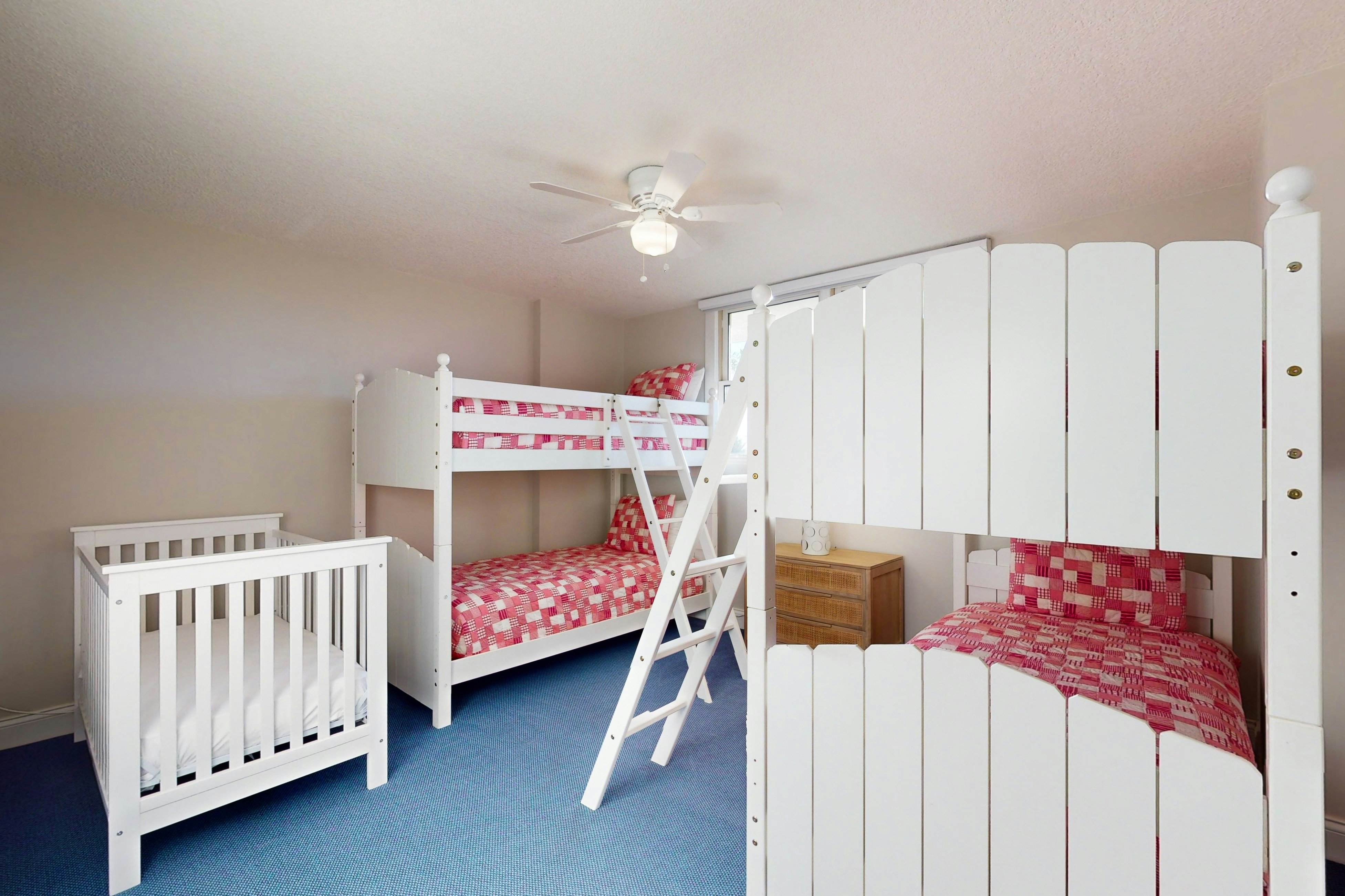 The Golden Sand Dollar