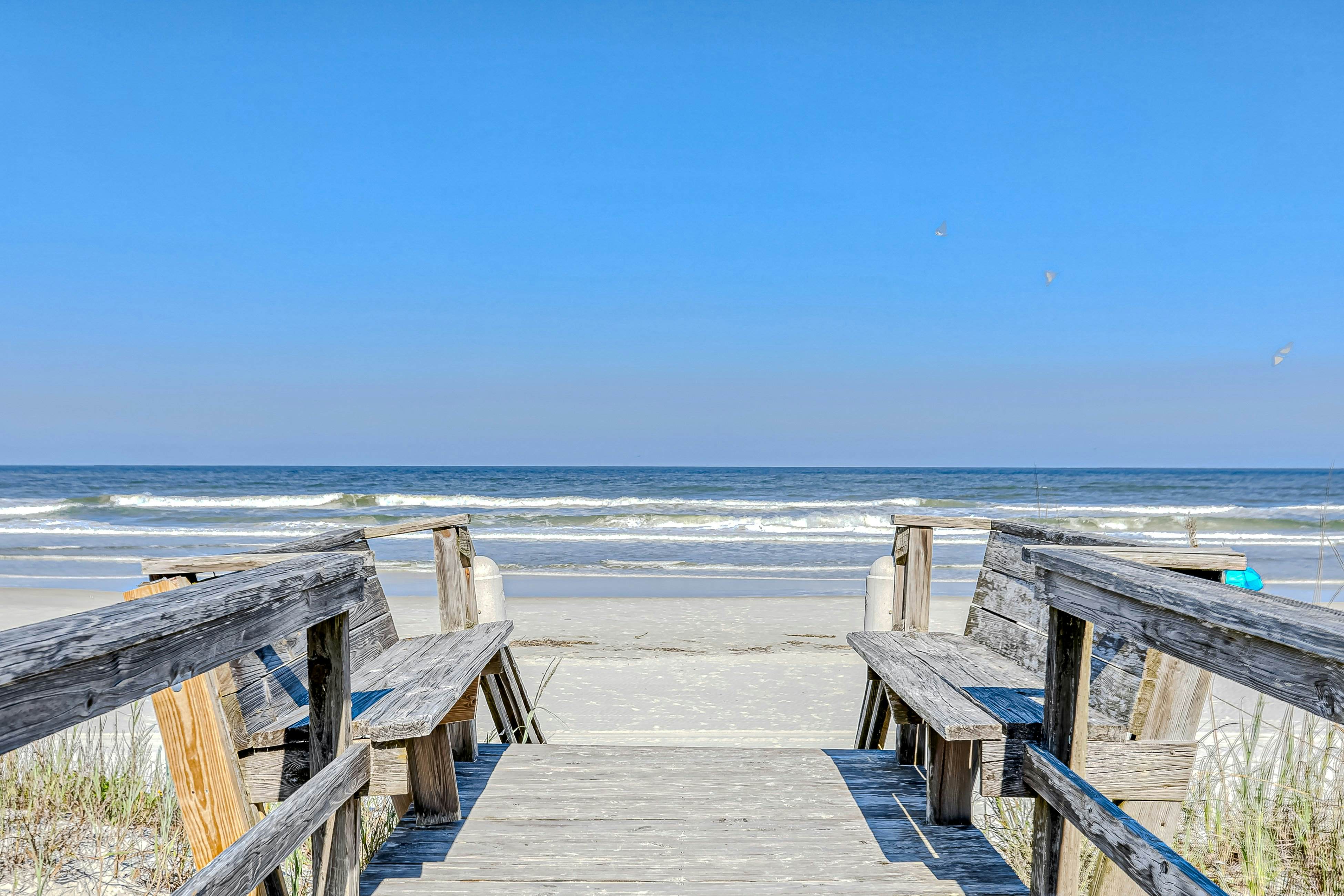 Sand Dollar II - 103