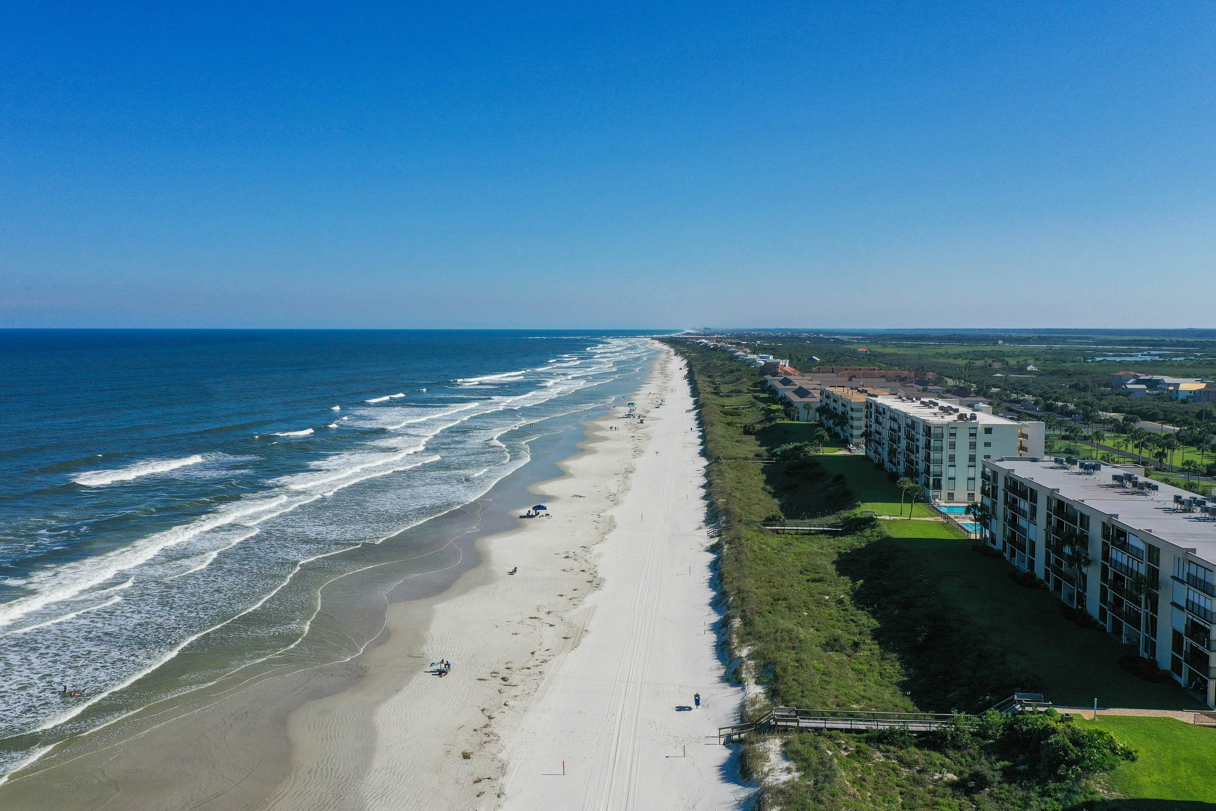 Sand Dollar II - 103