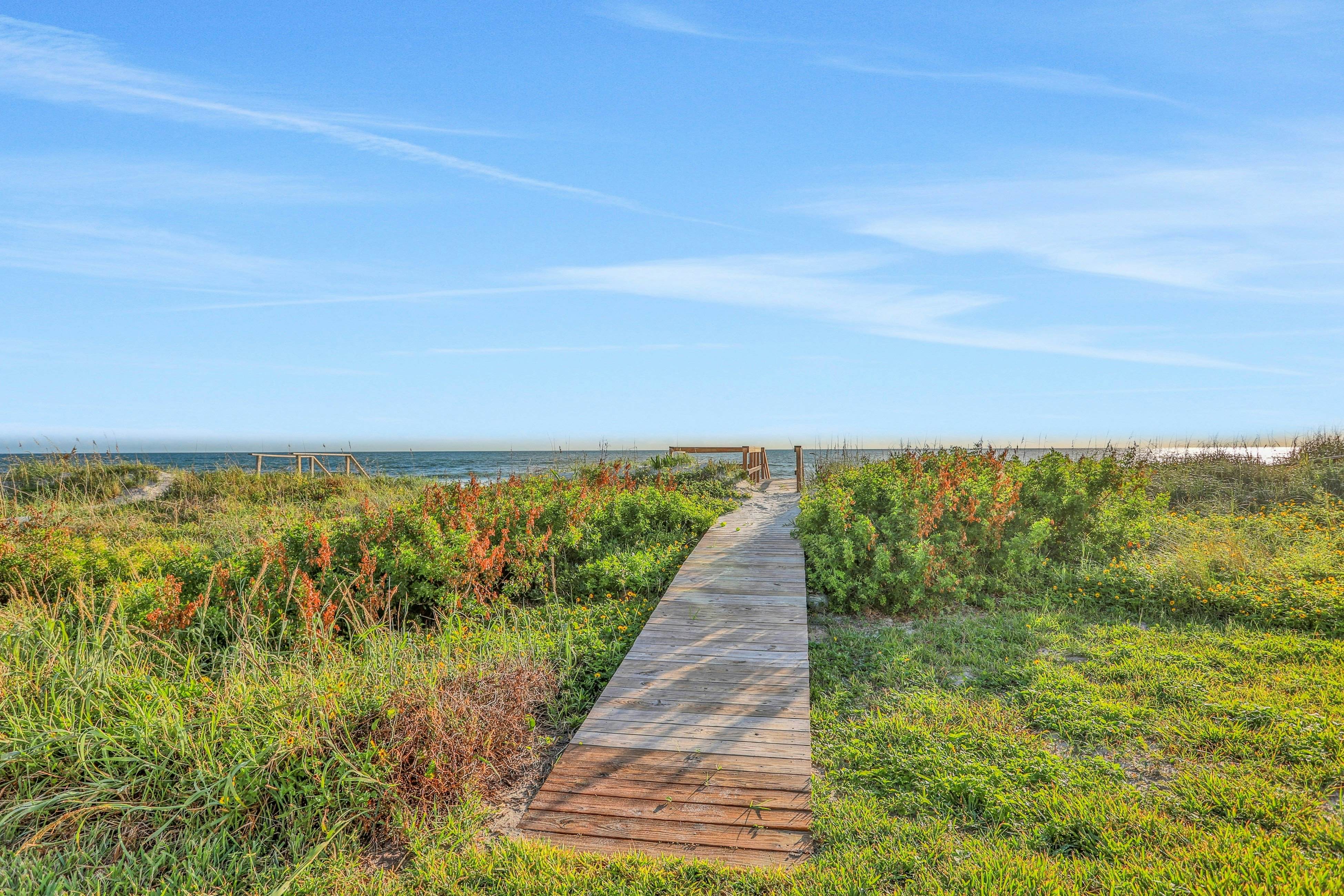 Vilano's Edge Unit B