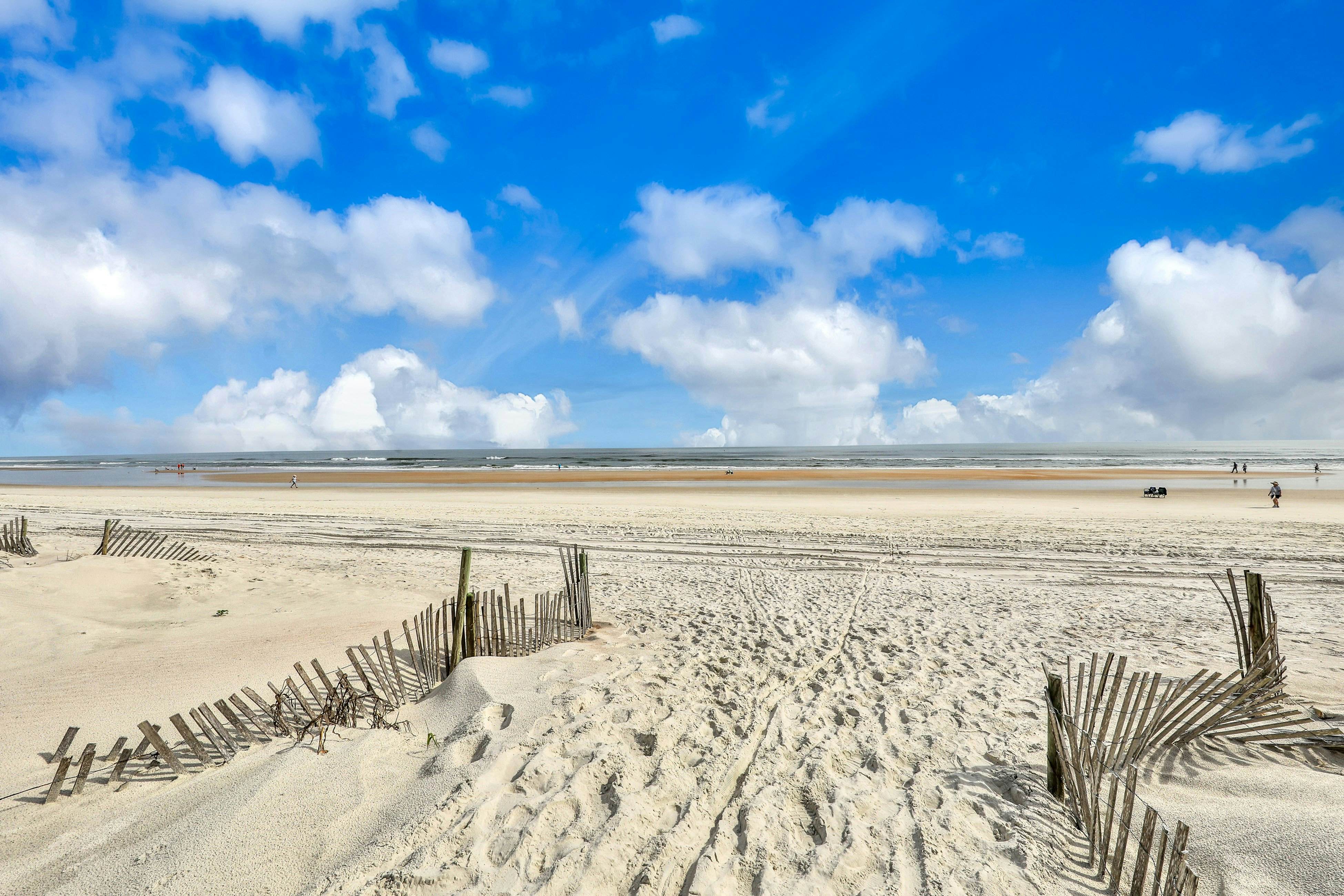 Crescent Sandpiper 116 Island Life