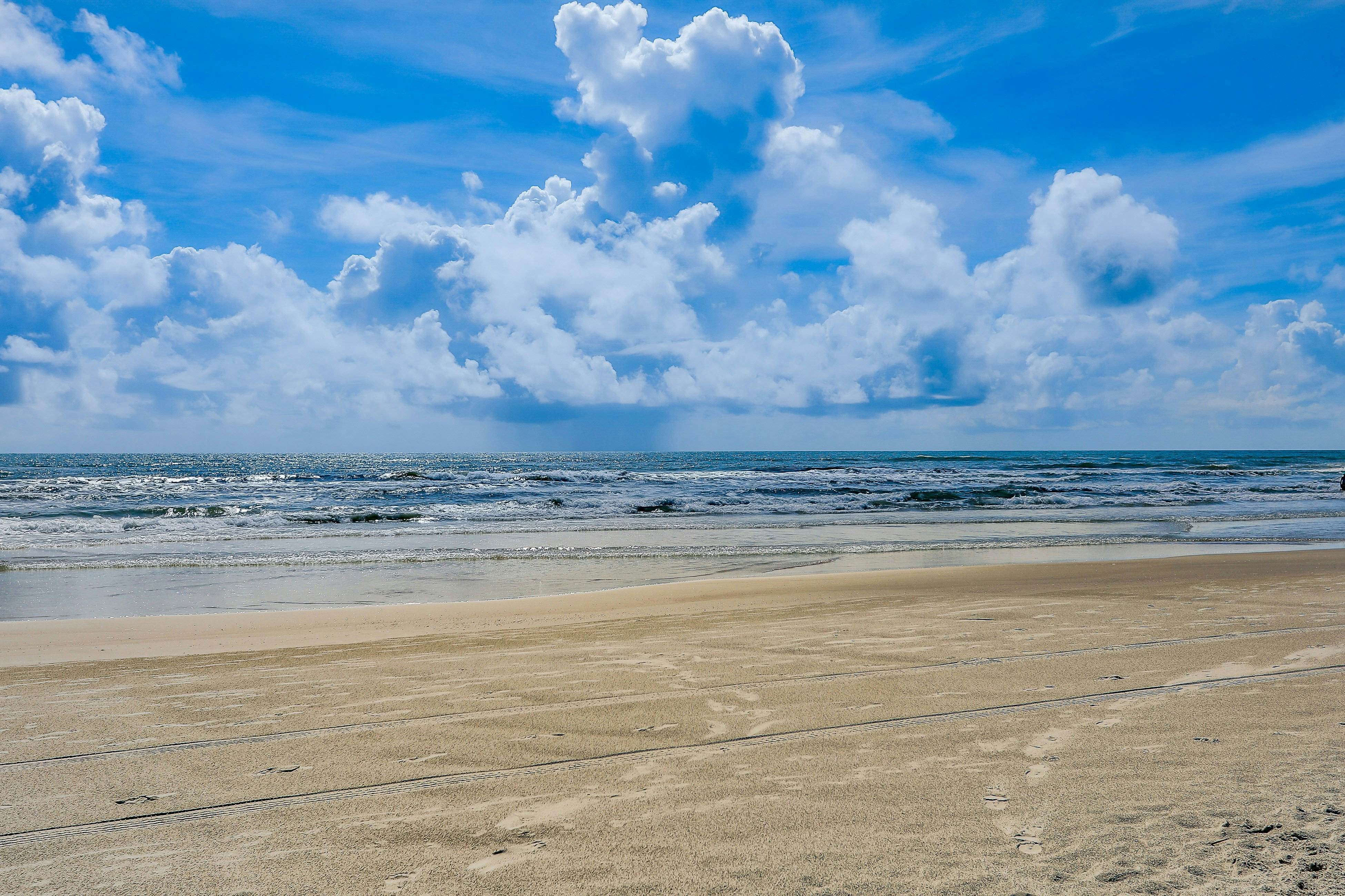 Crescent Sandpiper 116 Island Life