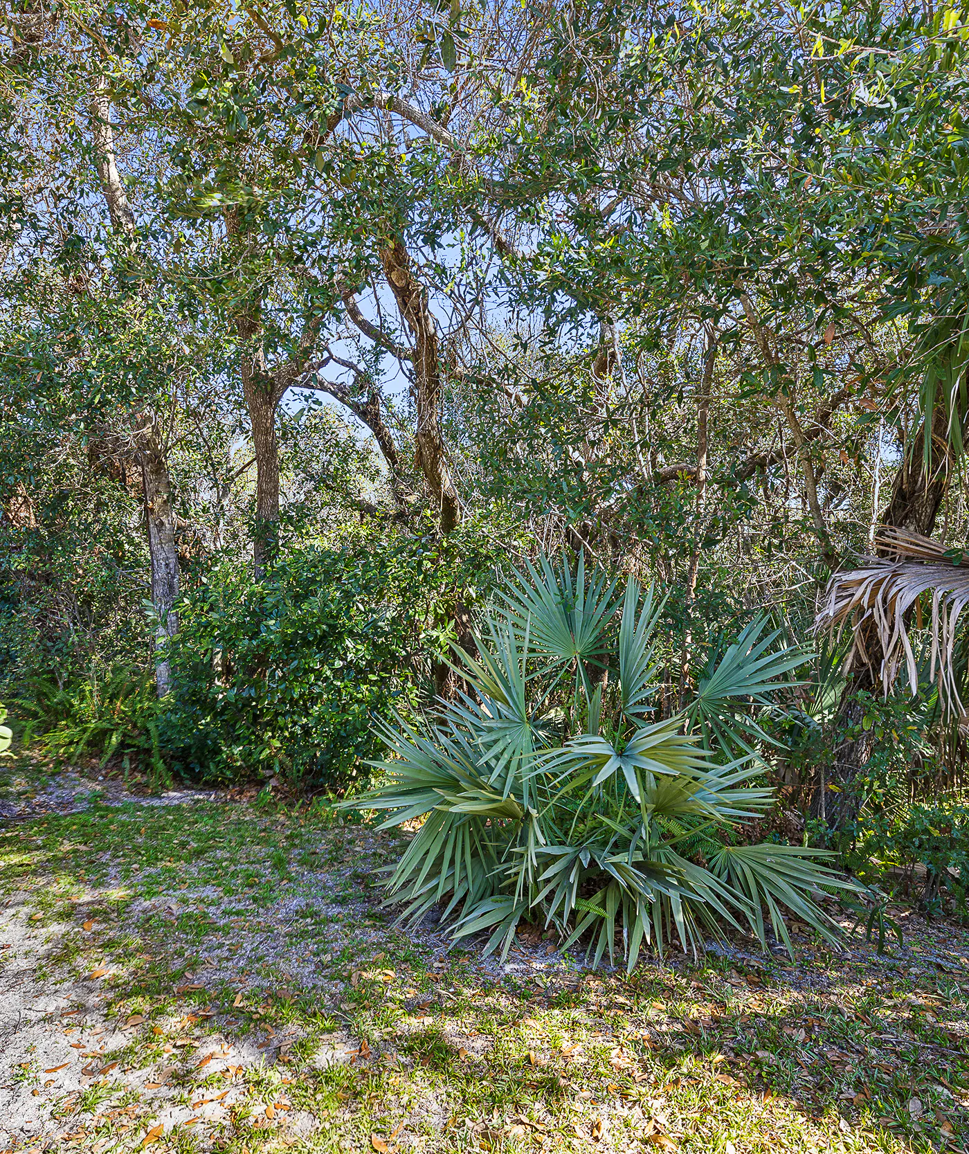 Sea Woods Villa 4263