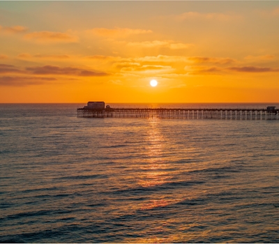 Day in Paradise - O'side Palms