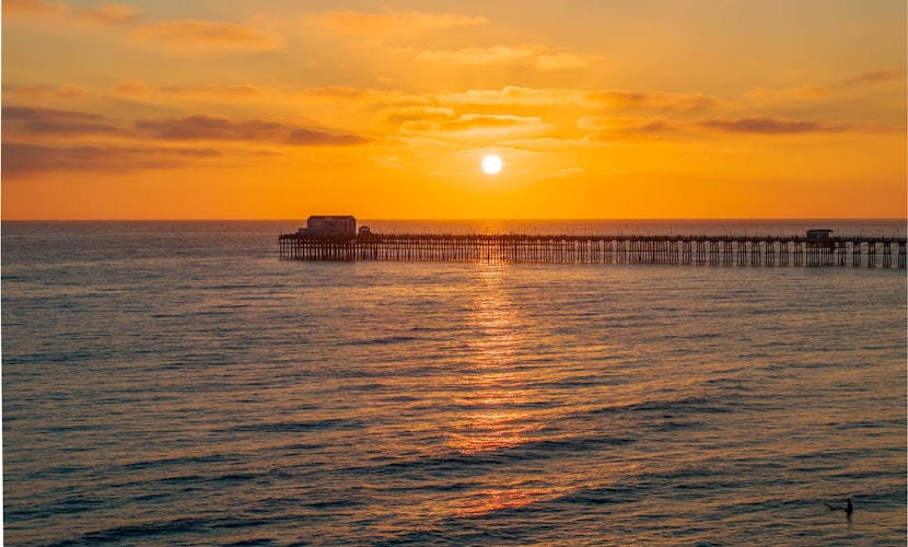 Day in Paradise - O'side Palms