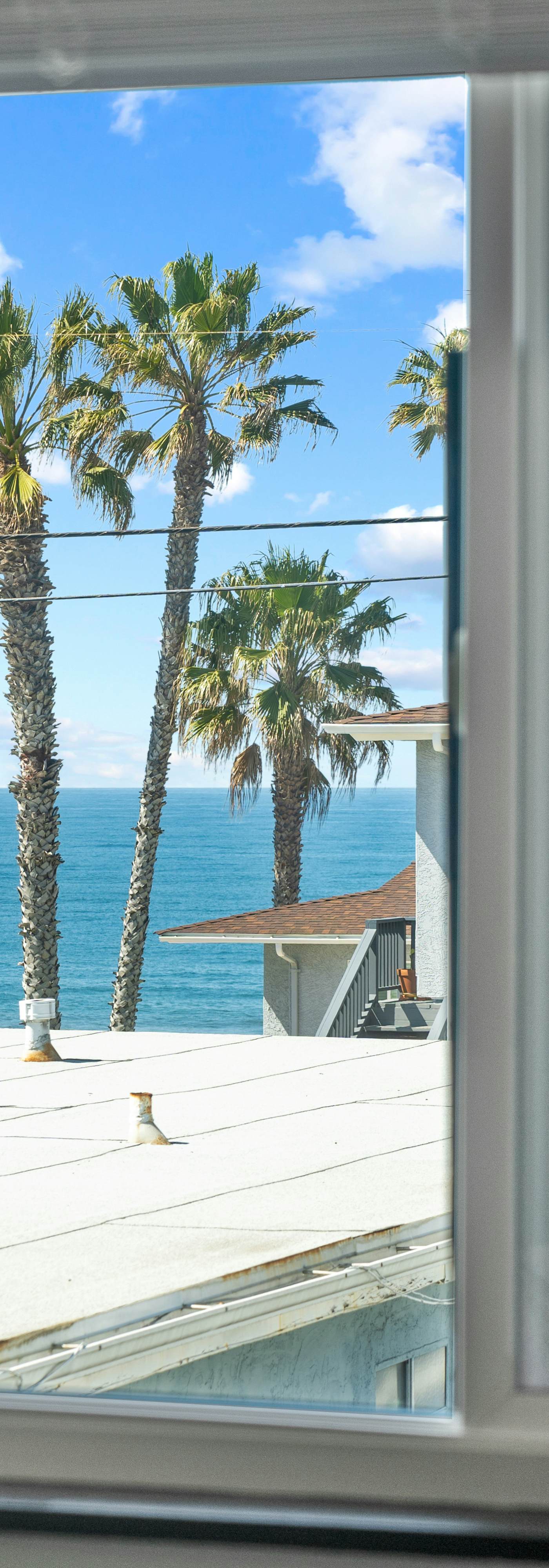 Day in Paradise - O'side Palms
