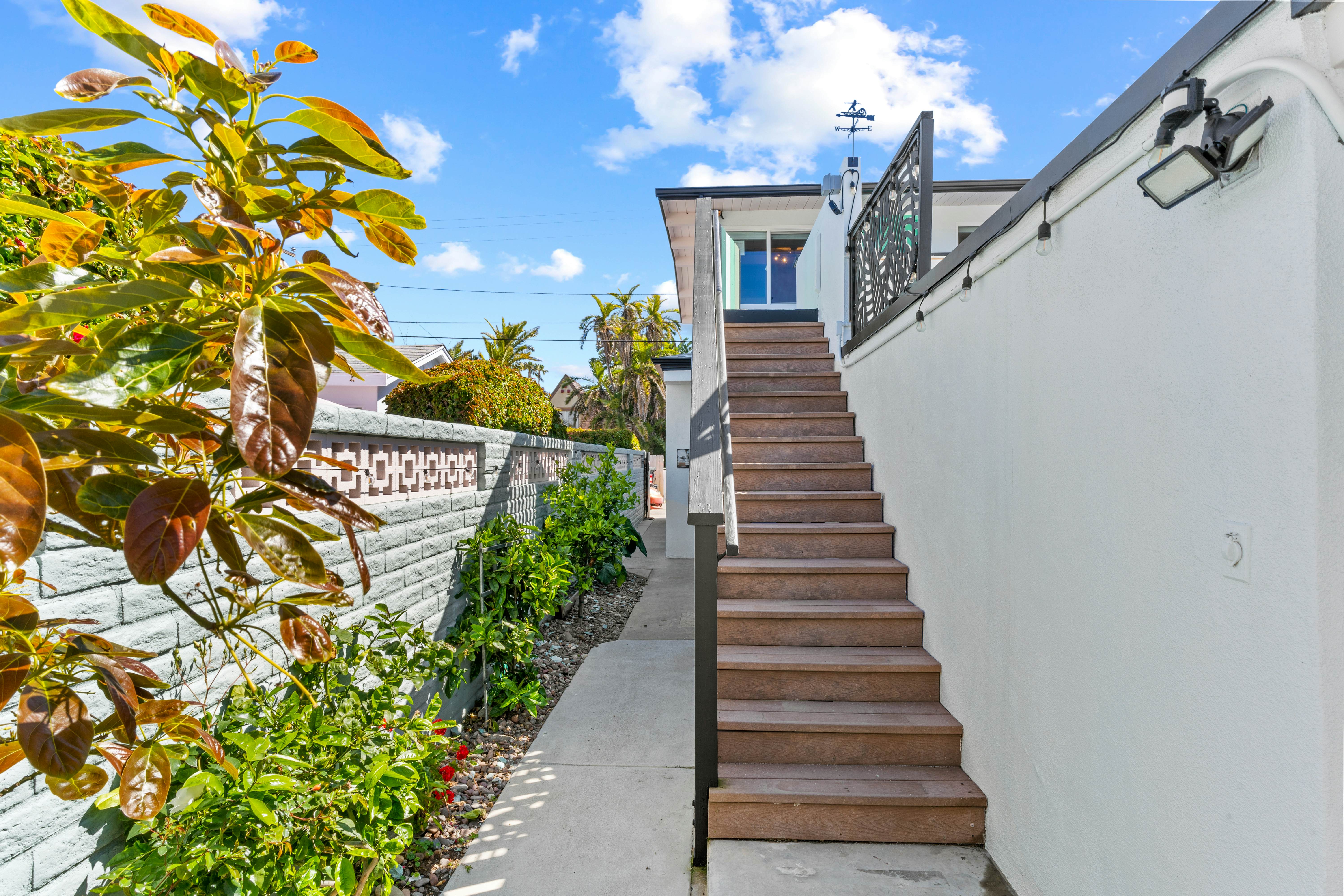 California Dreamin' - O'side Palms