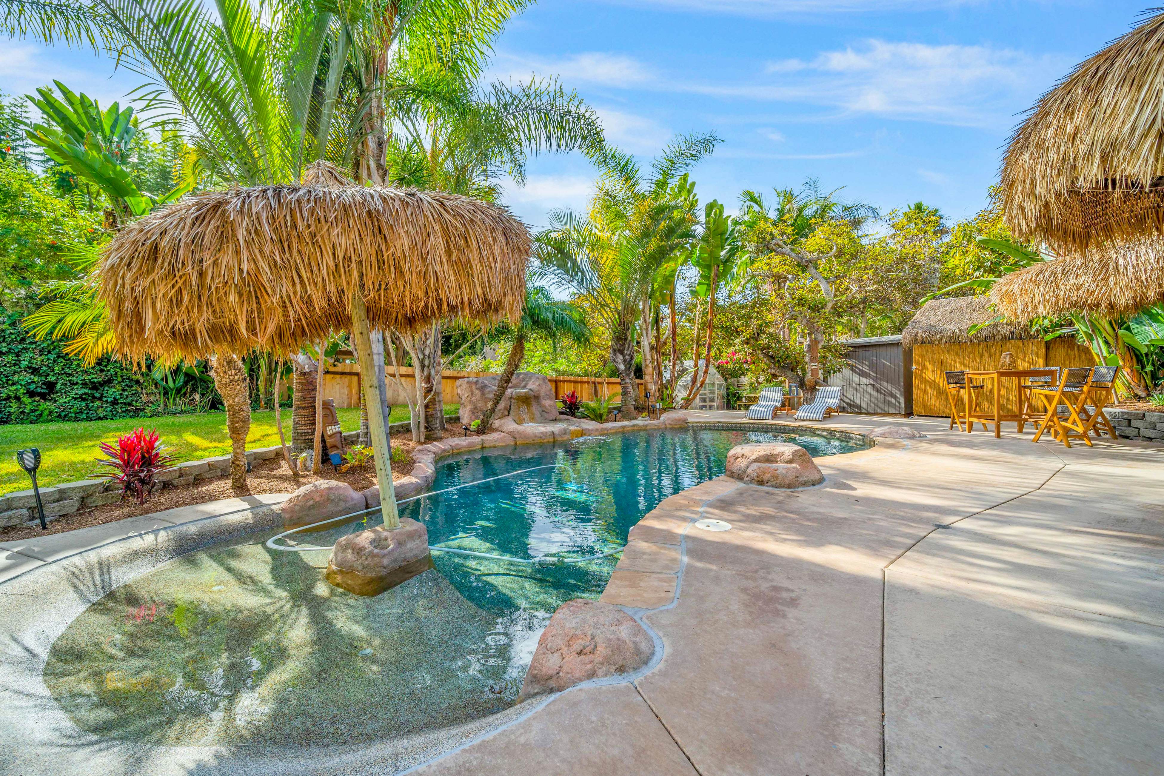 Tropical Island Oasis