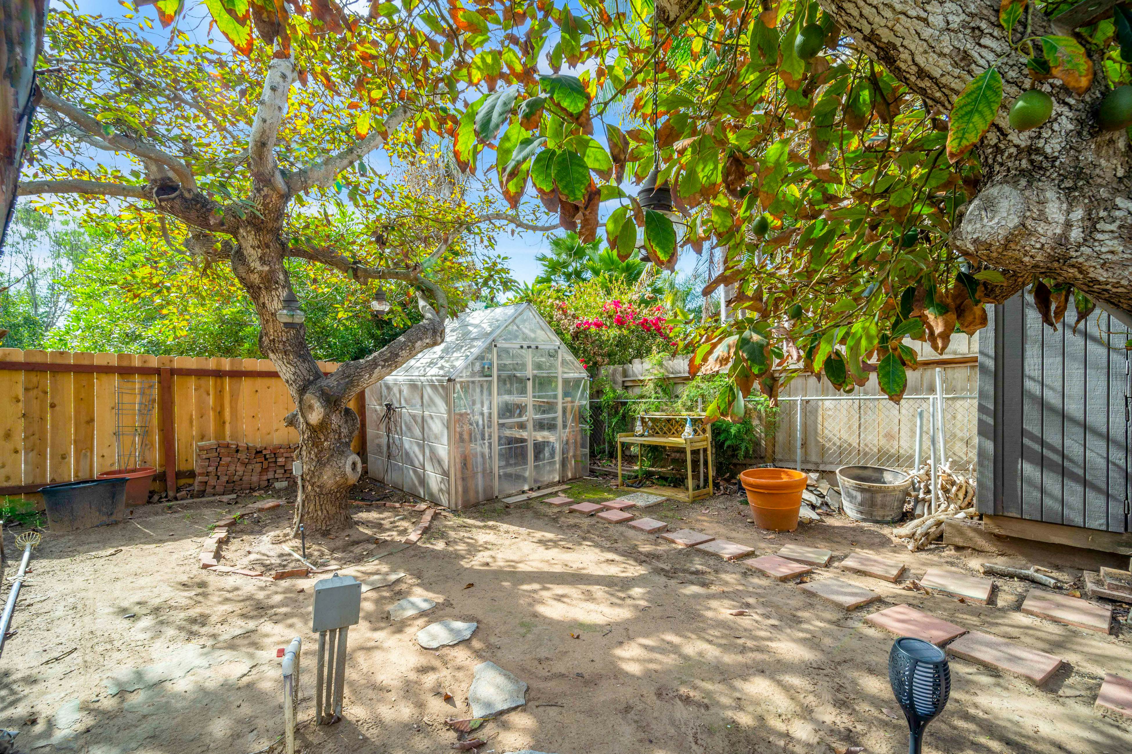 Tropical Island Oasis