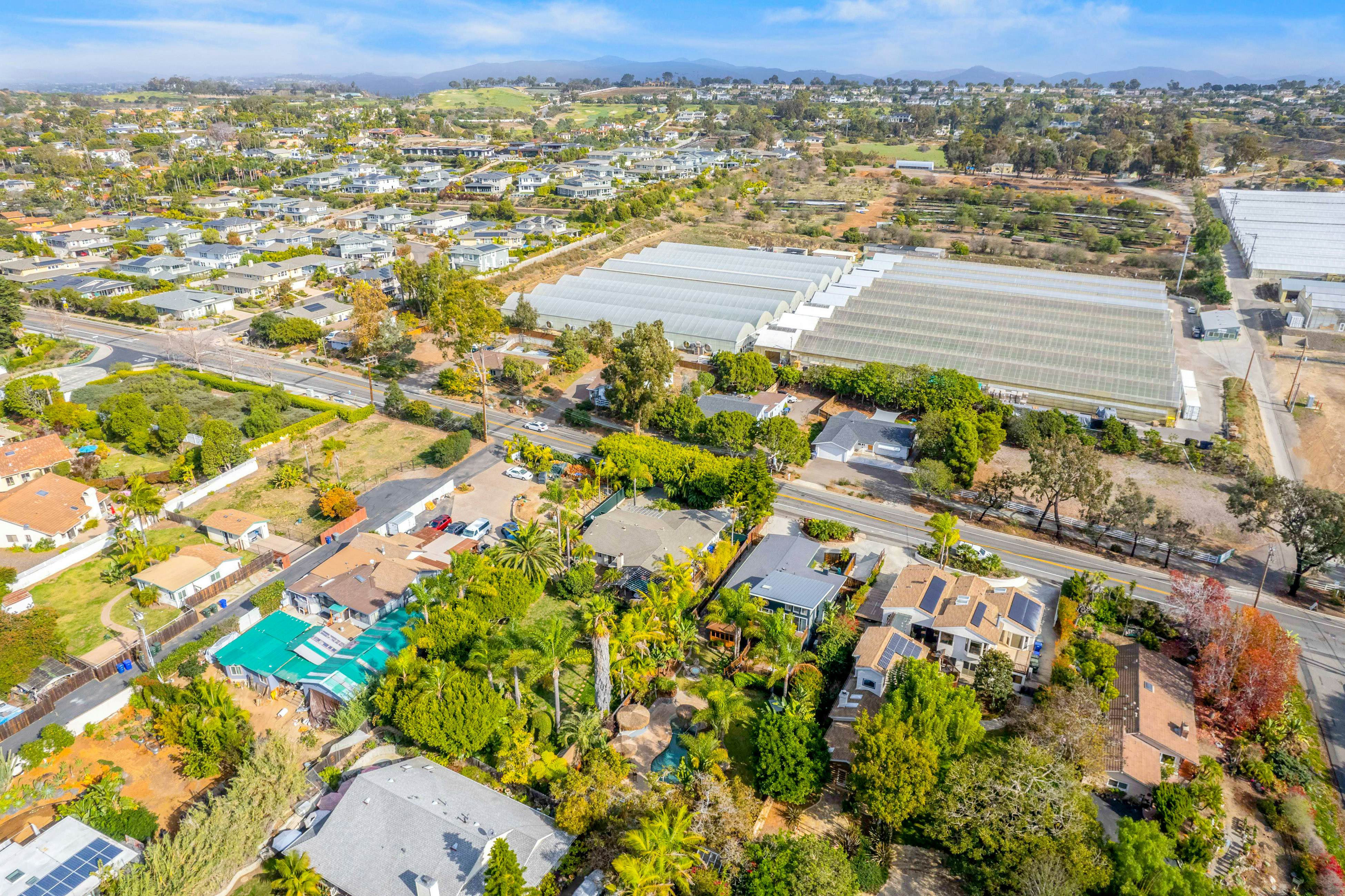 Tropical Island Oasis