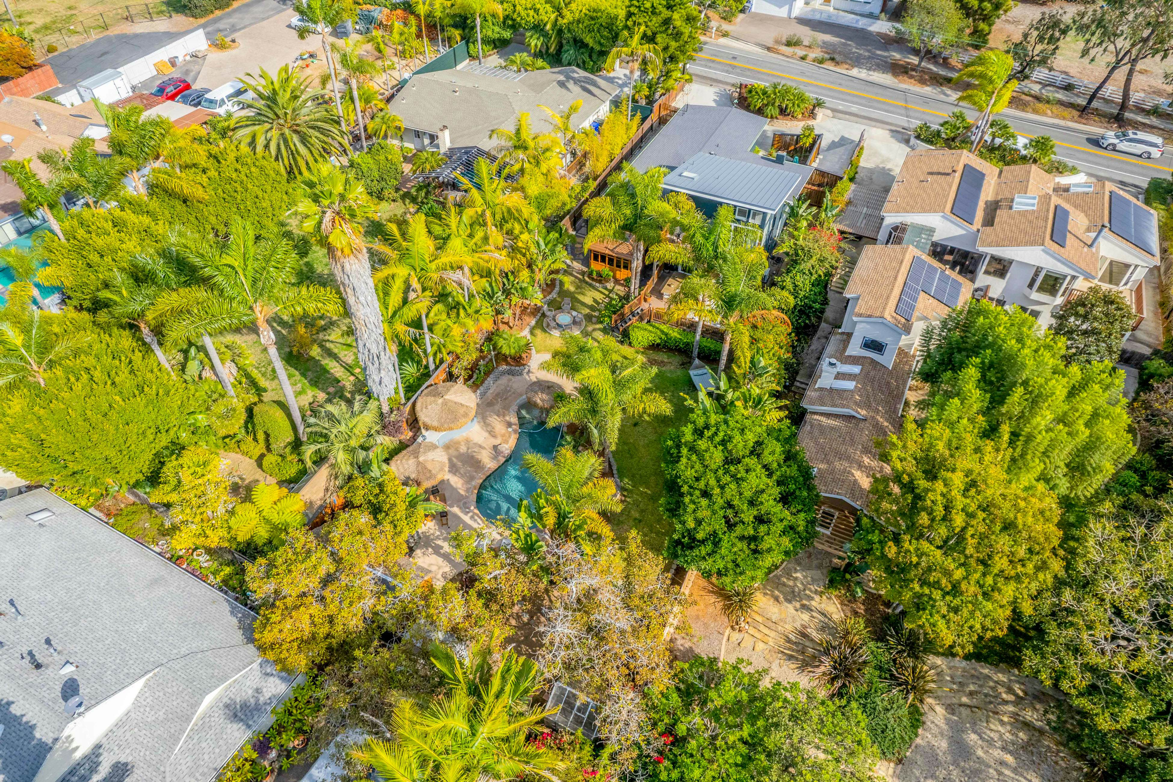 Tropical Island Oasis