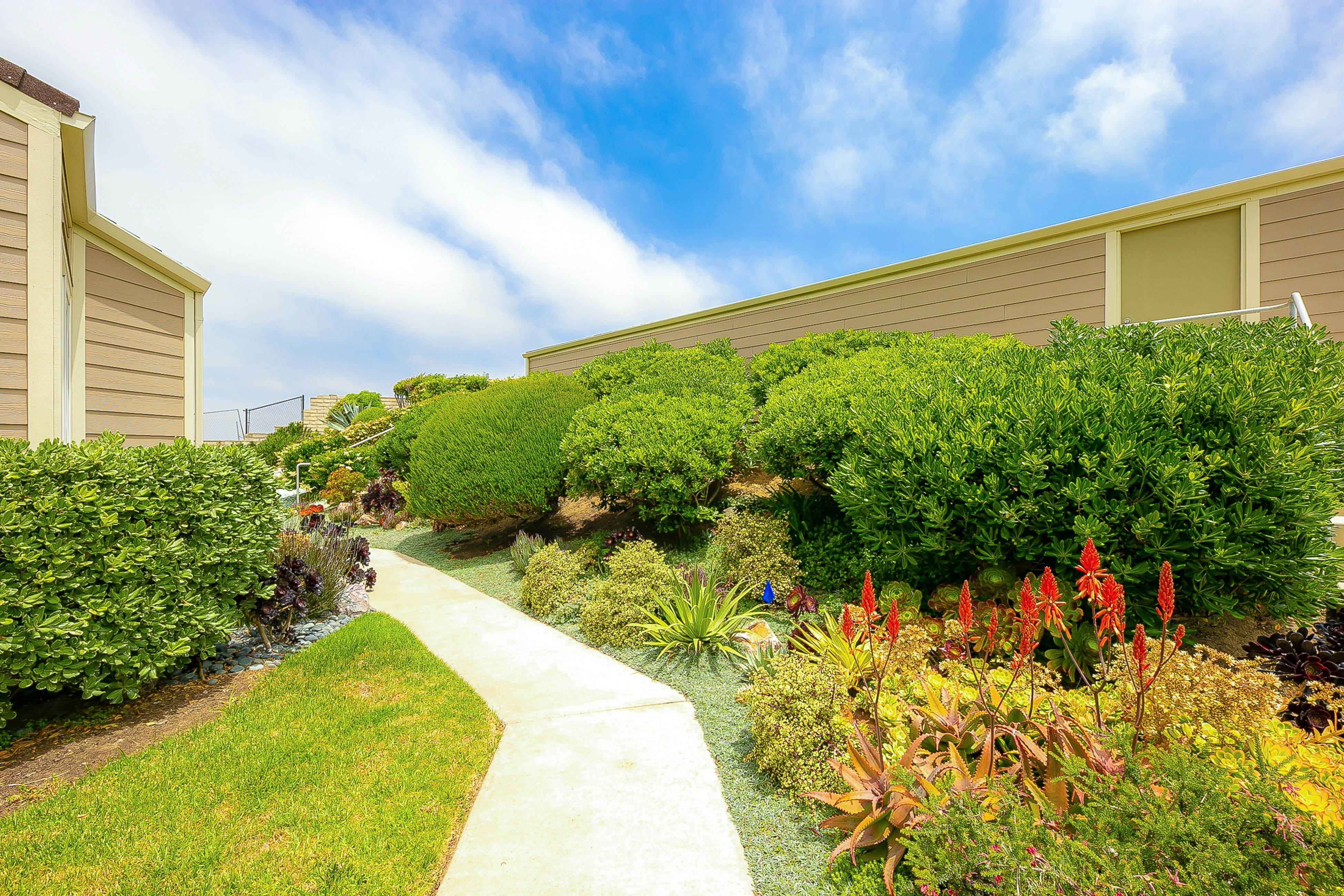 Seabluffe Ocean Spray