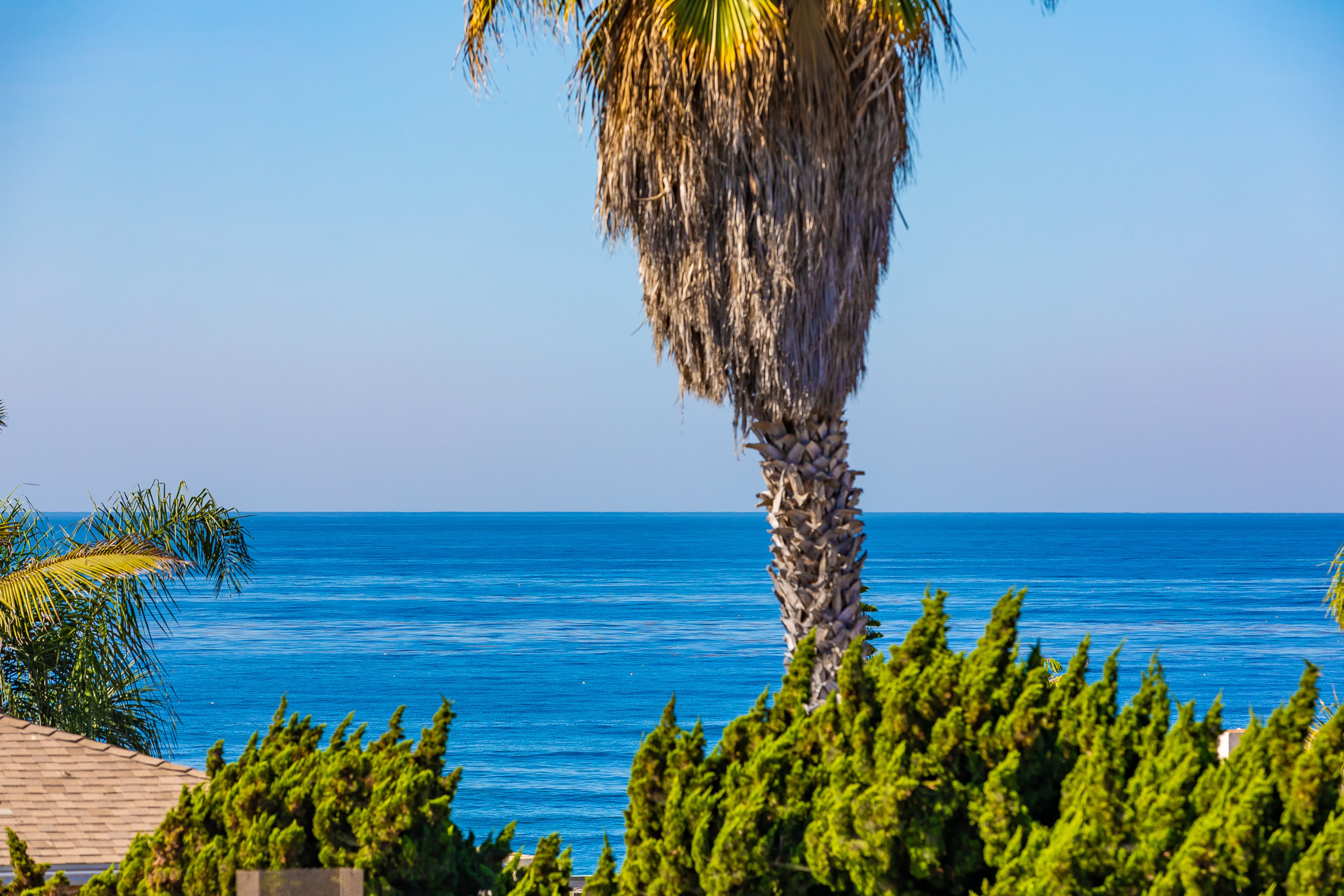 Sea & Sand Ocean Views