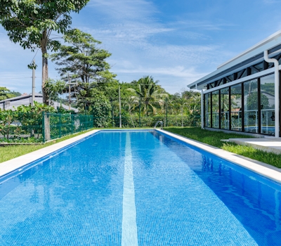 Viva Jaco Viva Jaco (06-06B)