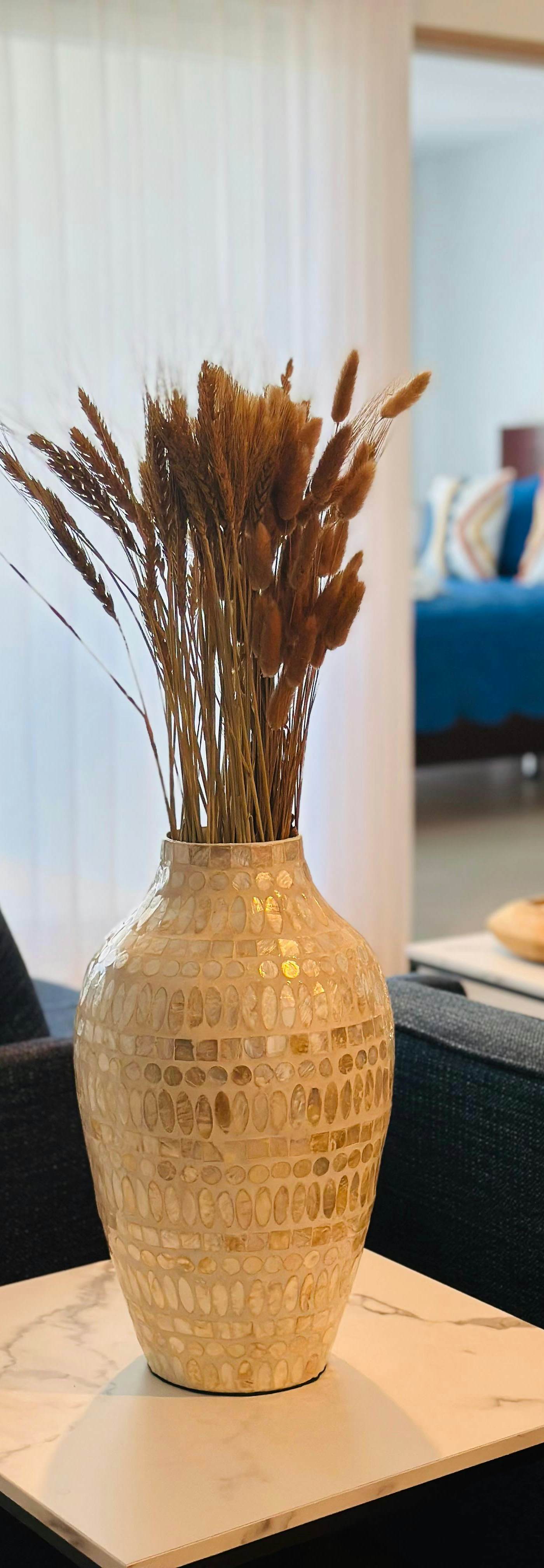 Viva Jaco Viva Jaco (16-05A)