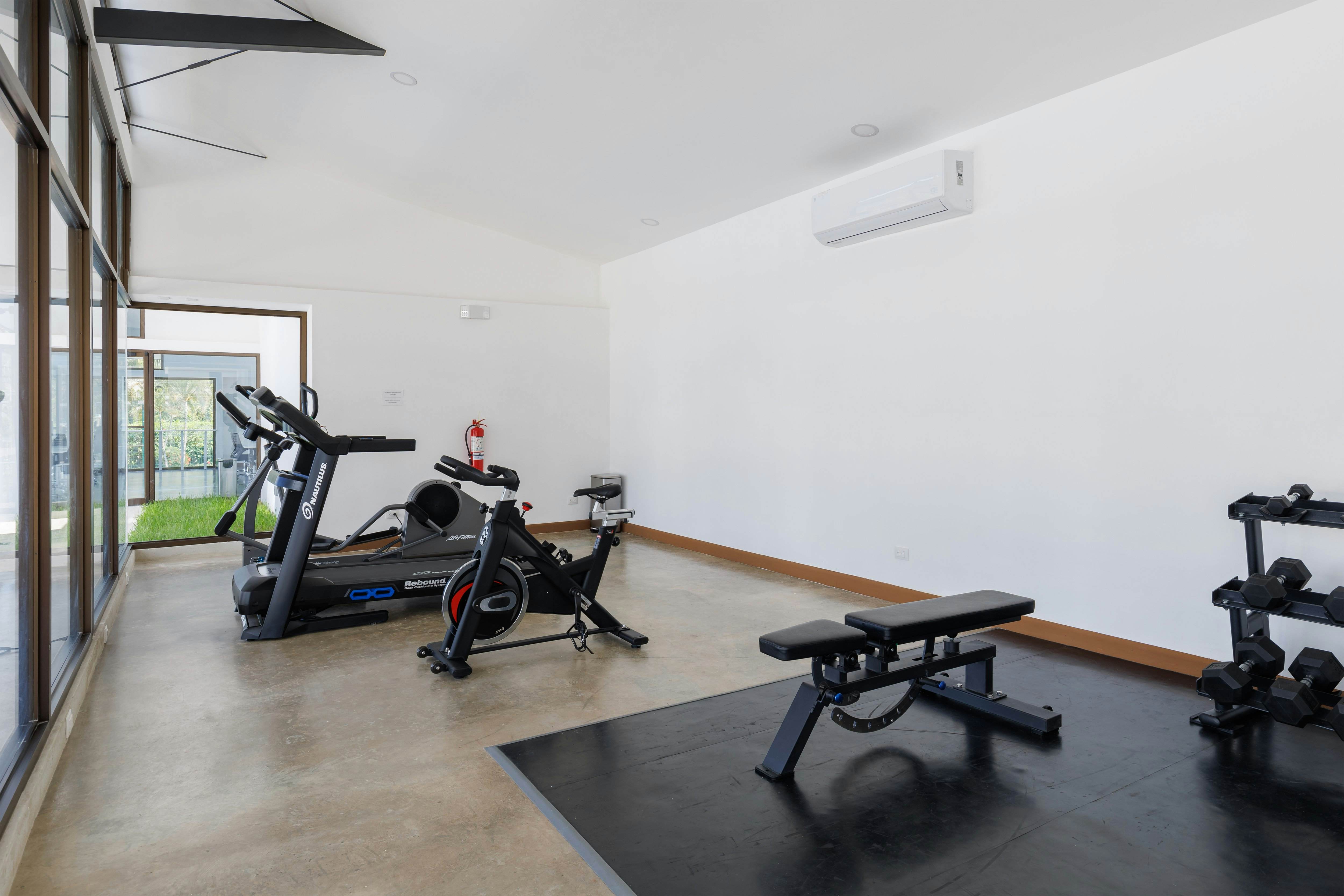 Viva Jaco Viva Jaco Pet-Friendly (02-05A)