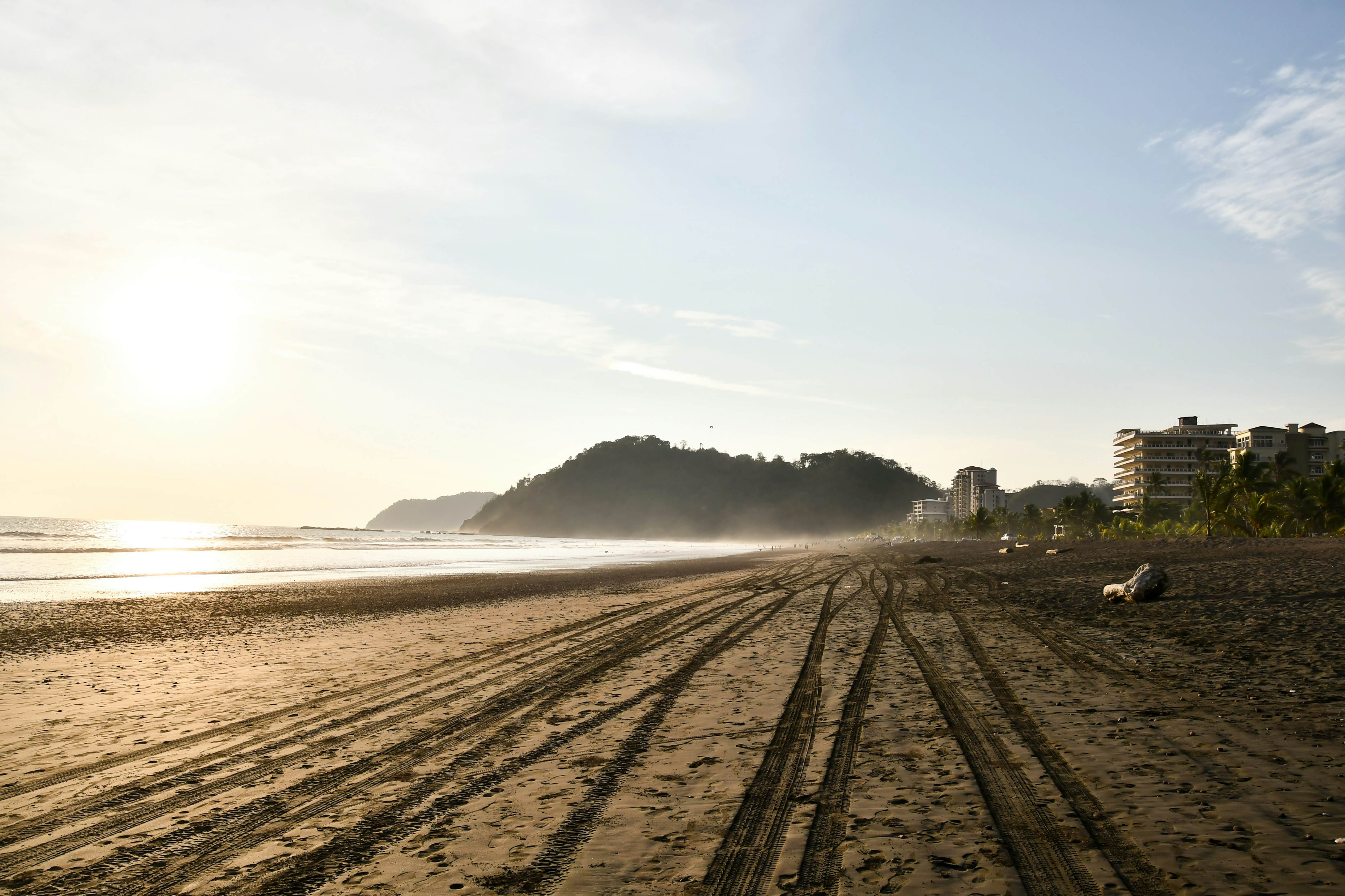 Viva Jaco Viva Jaco Pet-Friendly (02-05A)