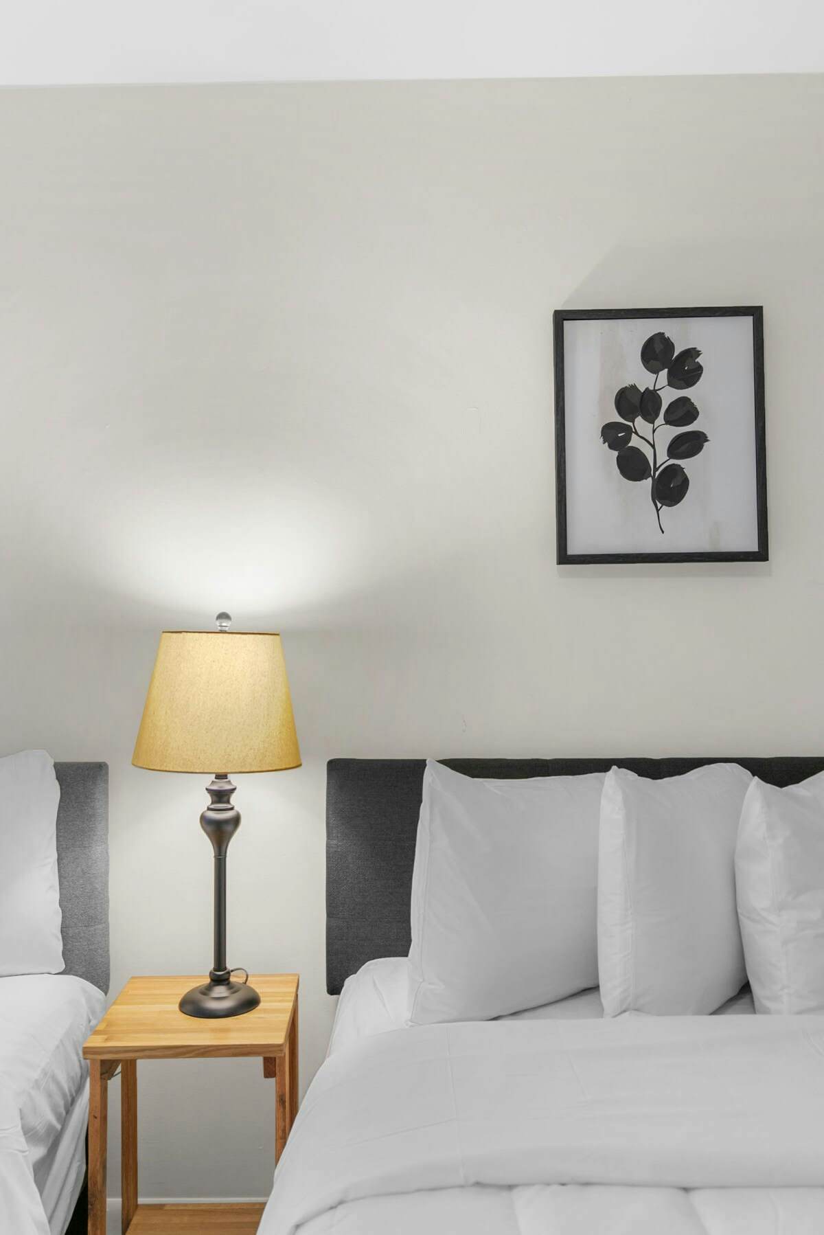 Park Drive Picturesque