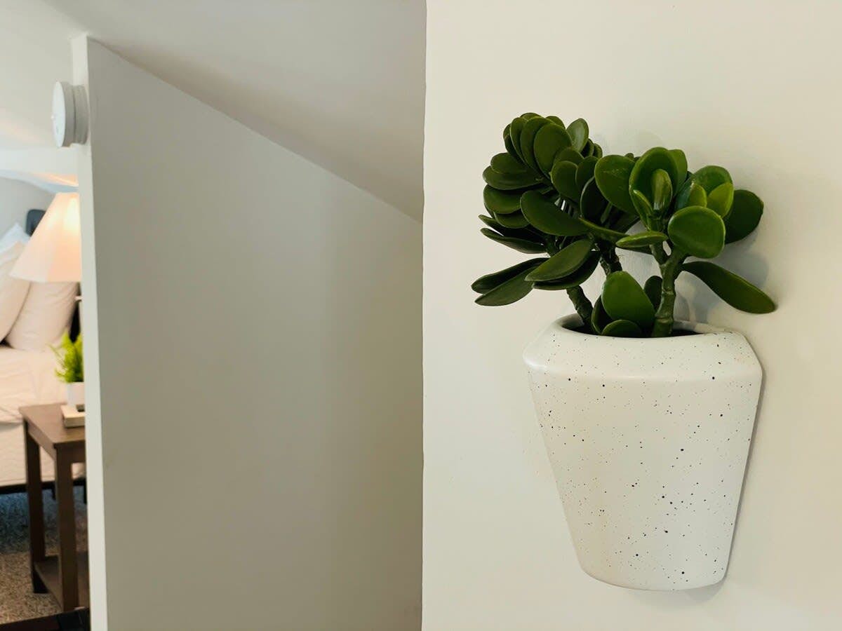 83rd Street Comfy Cottage