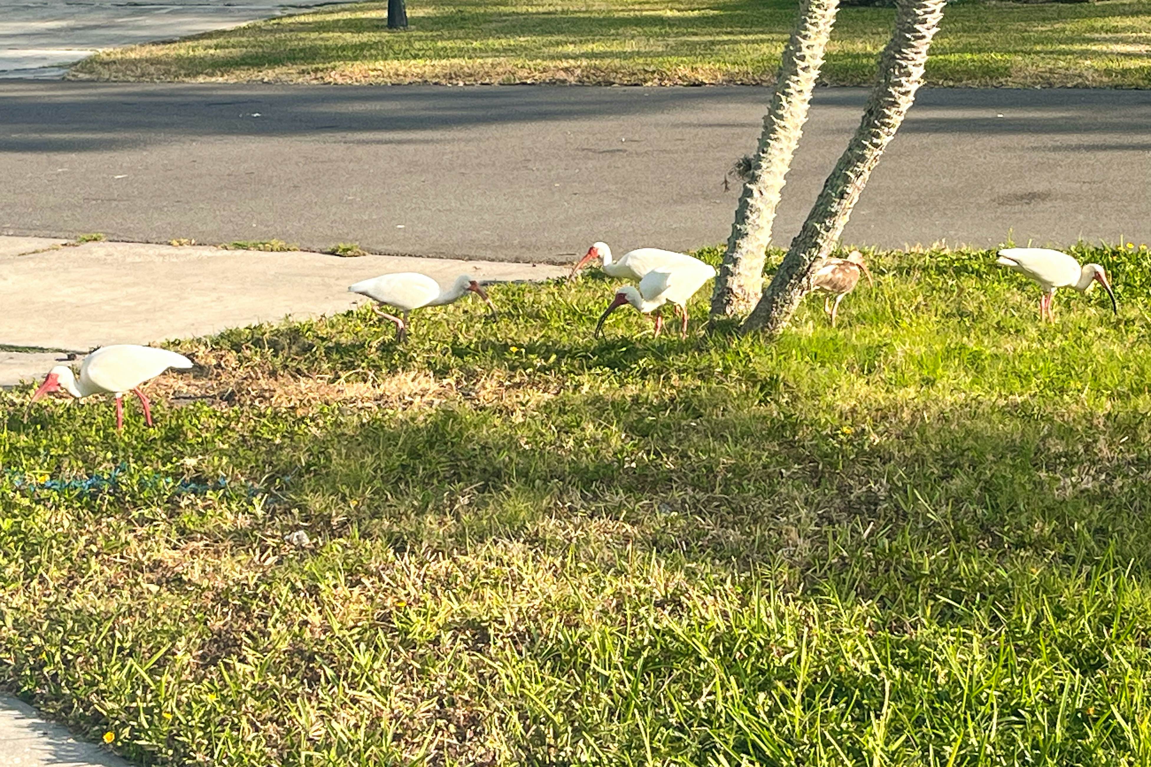 Home near the beach with private pool, enclosed patio, & W/D