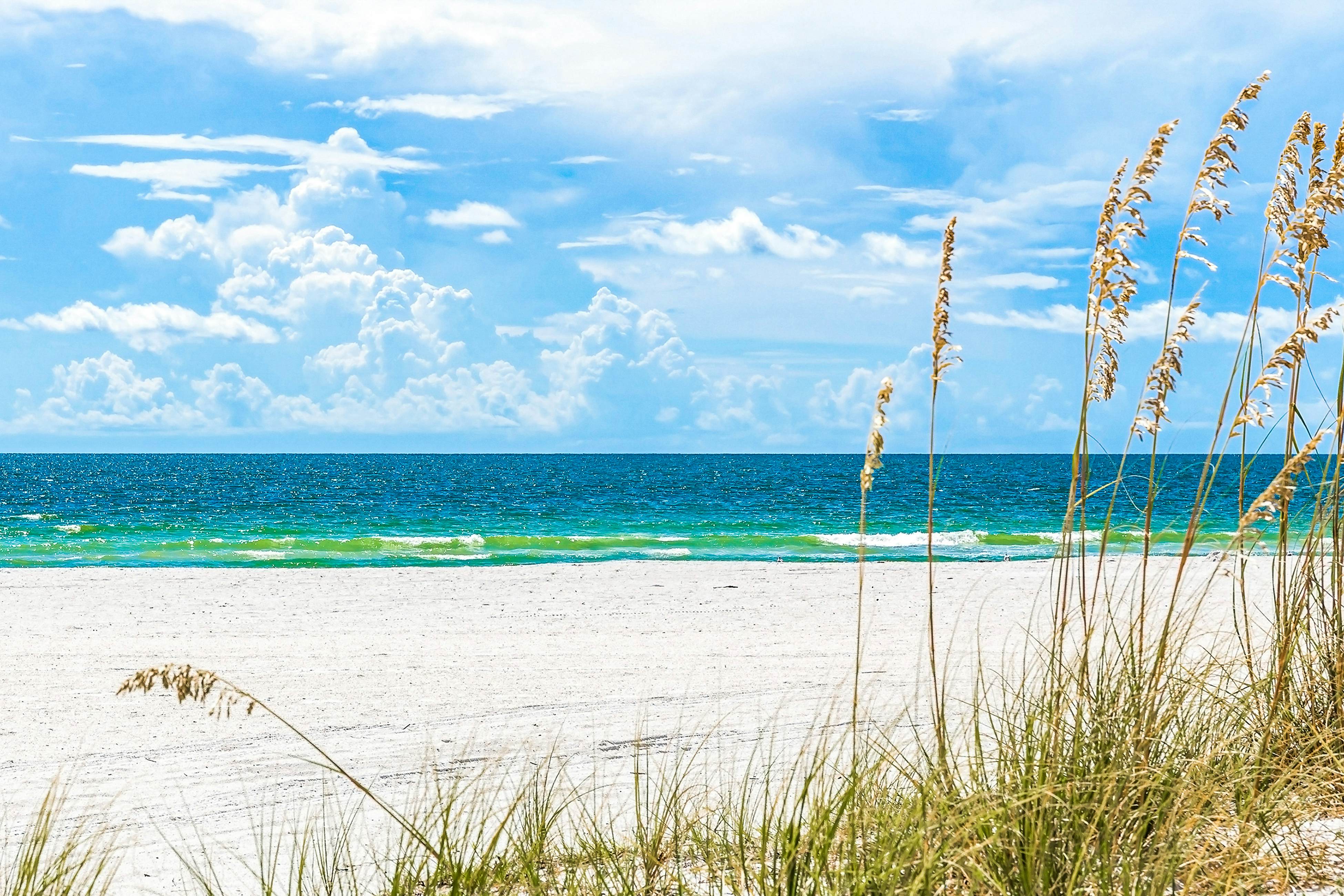 Dog-friendly home near beaches with private pool, enclosed backyard, grill, W/D