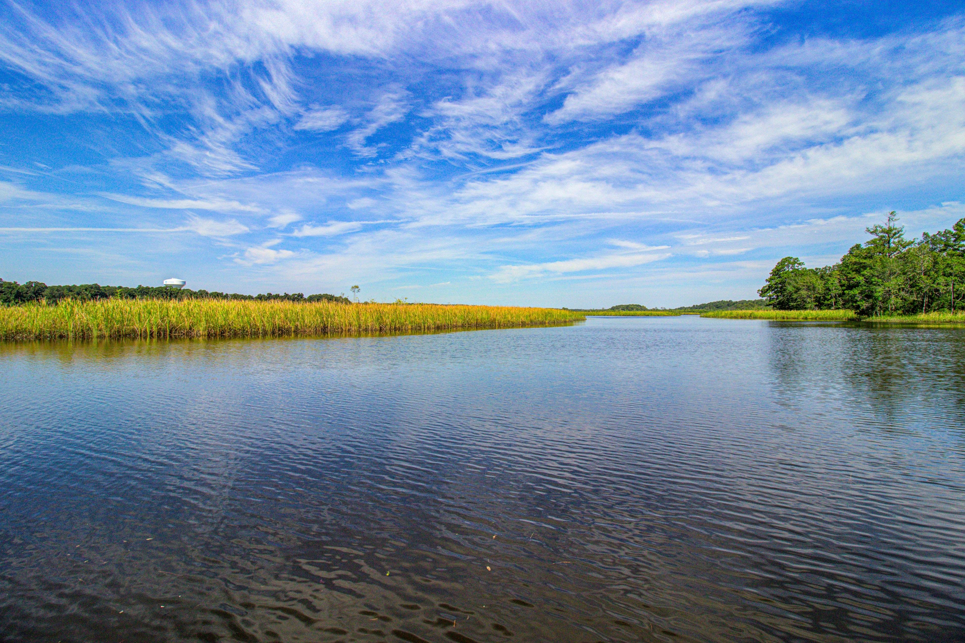 1BR Cottage Home in Pet Friendly Resort w/ Pool, hot tub & parks