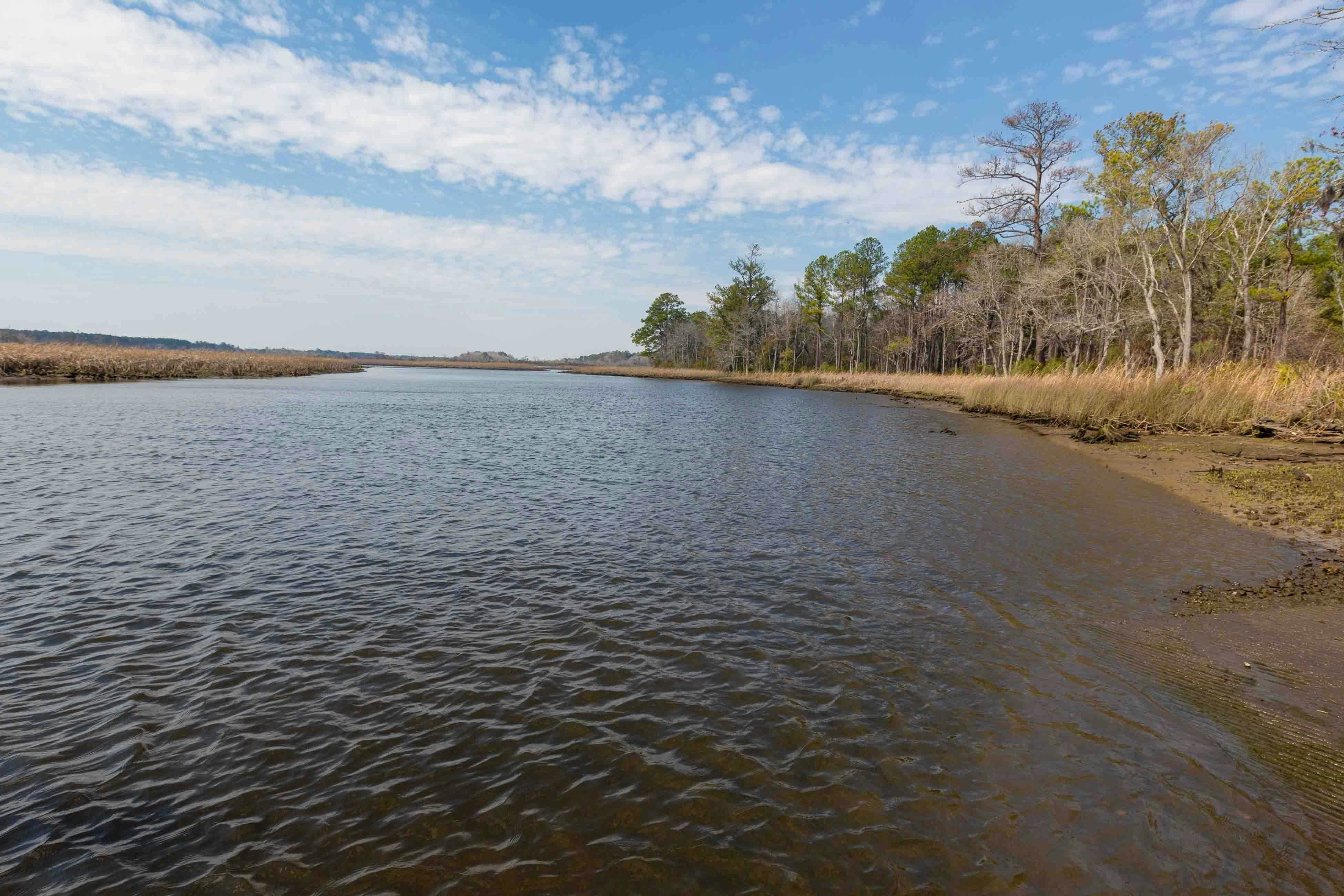 Sunny 2BR Pool View in Pet Friendly Resort w/ Pool Access