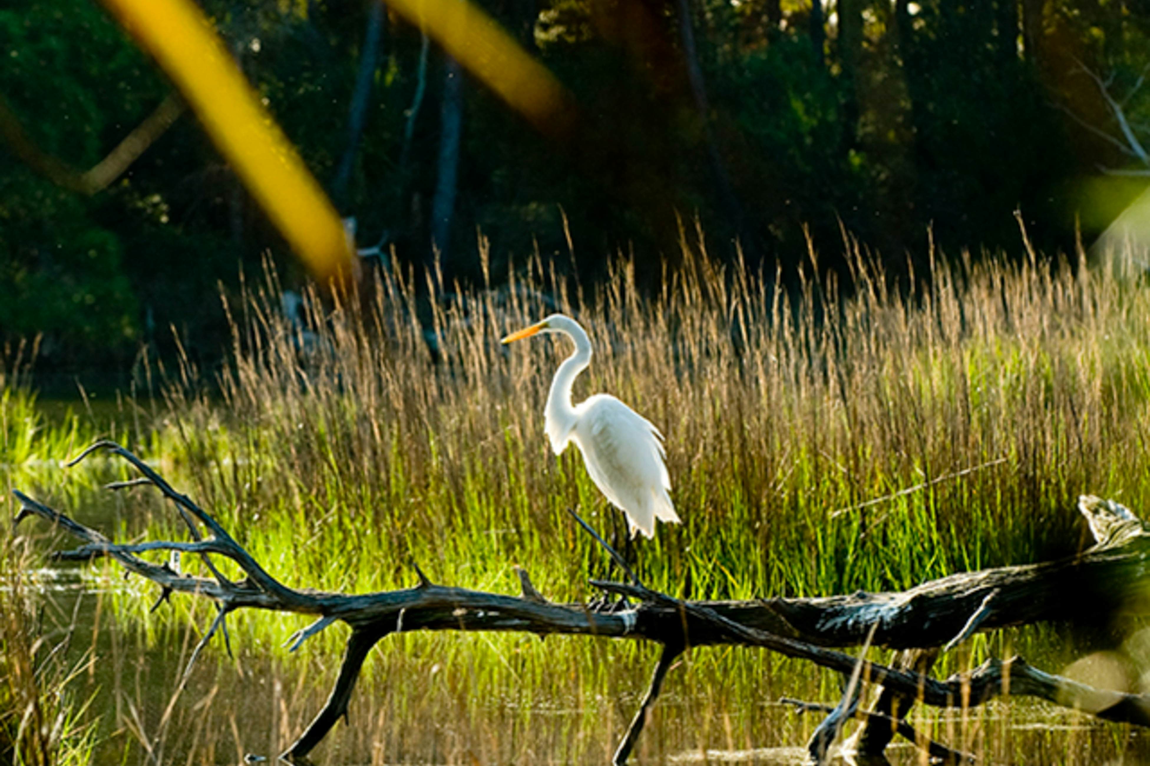 Cozy Kiawah Island villa centrally located near local attractions