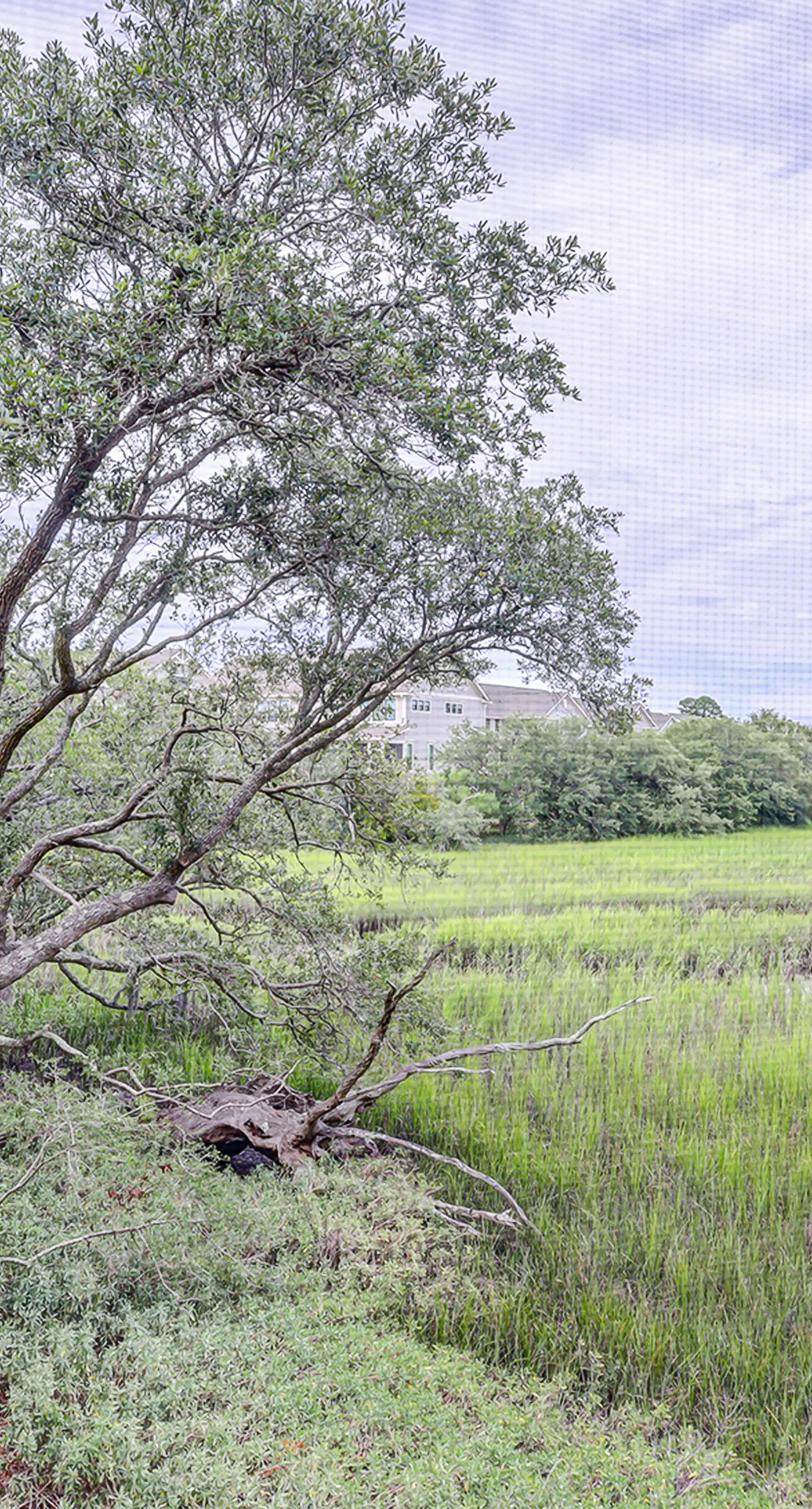 Fully updated condo with serene view, enclosed balcony, WiFi, W/D, pool, & gym