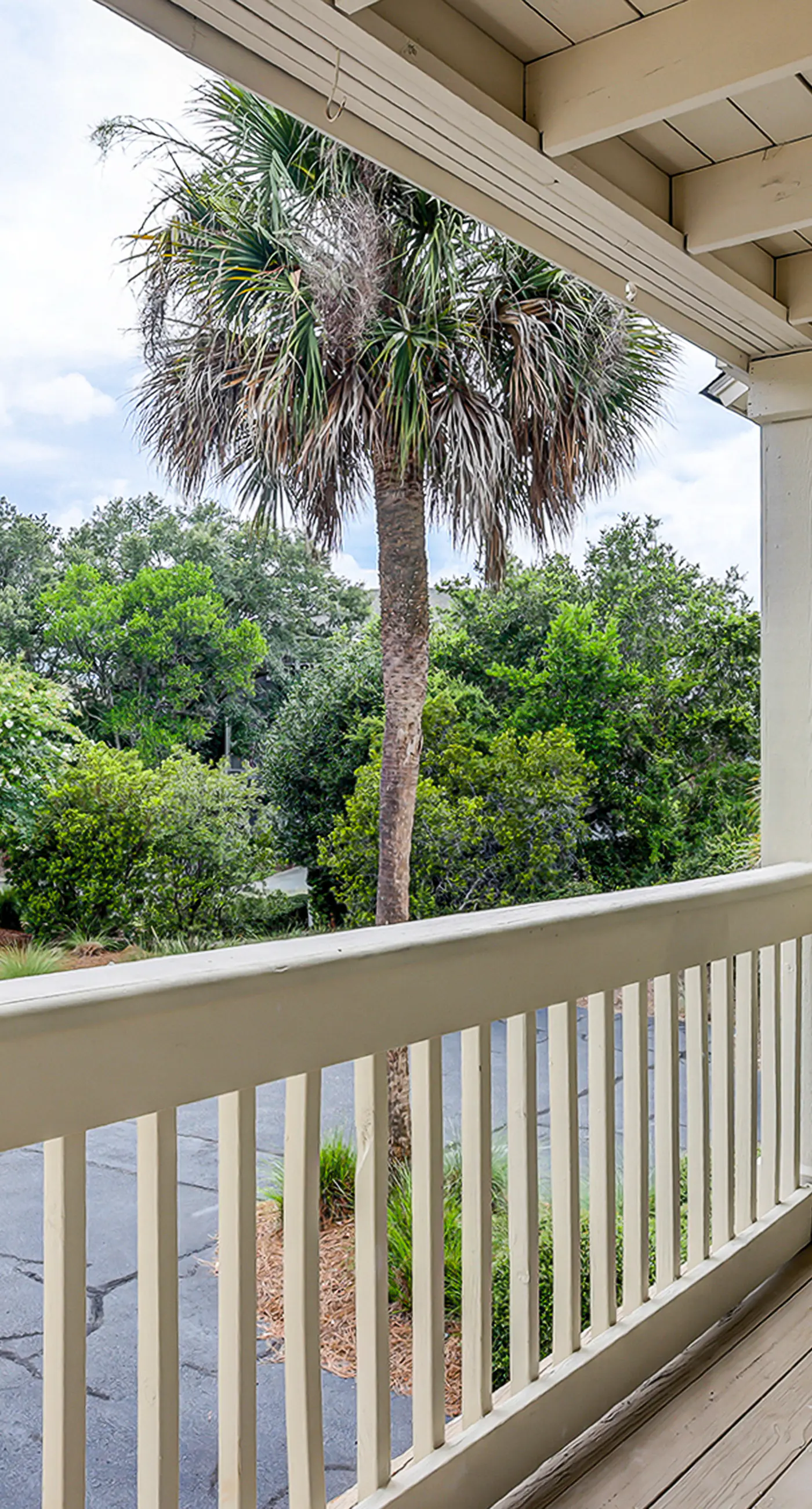 Fully updated condo with serene view, enclosed balcony, WiFi, W/D, pool, & gym