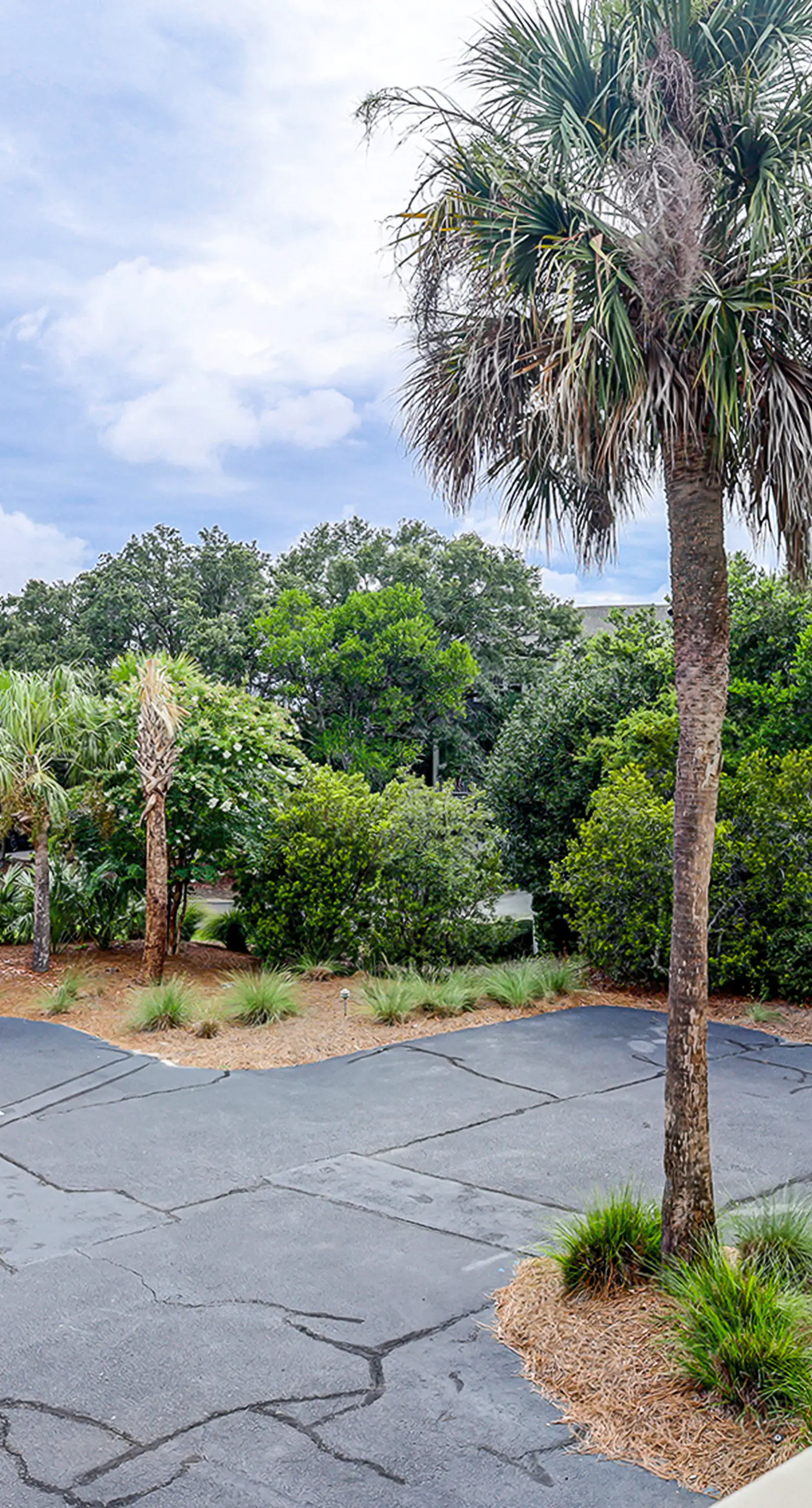 Fully updated condo with serene view, enclosed balcony, WiFi, W/D, pool, & gym