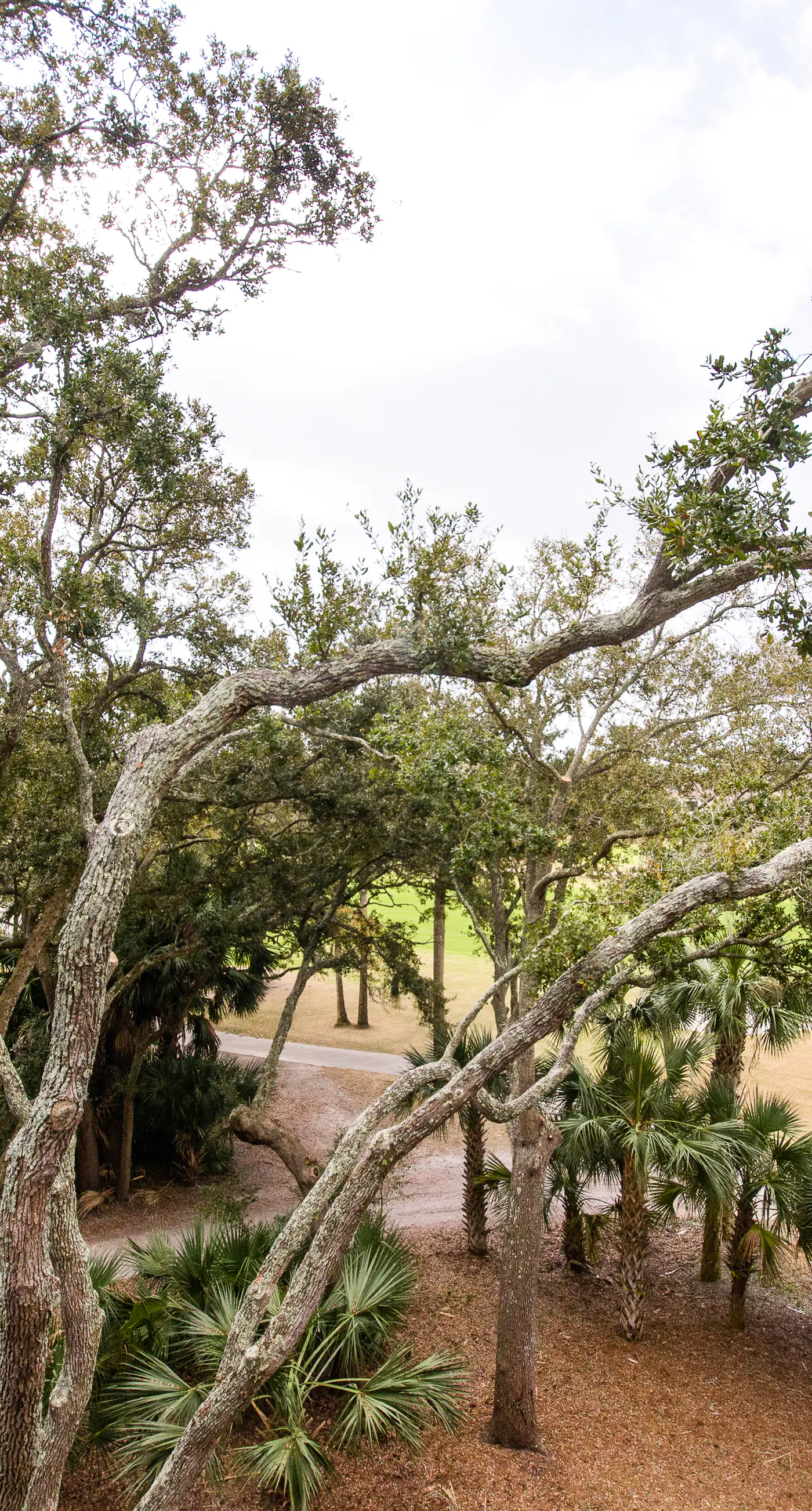 Handicap accessible villa featuring views of hole #1 at Crooked Oaks