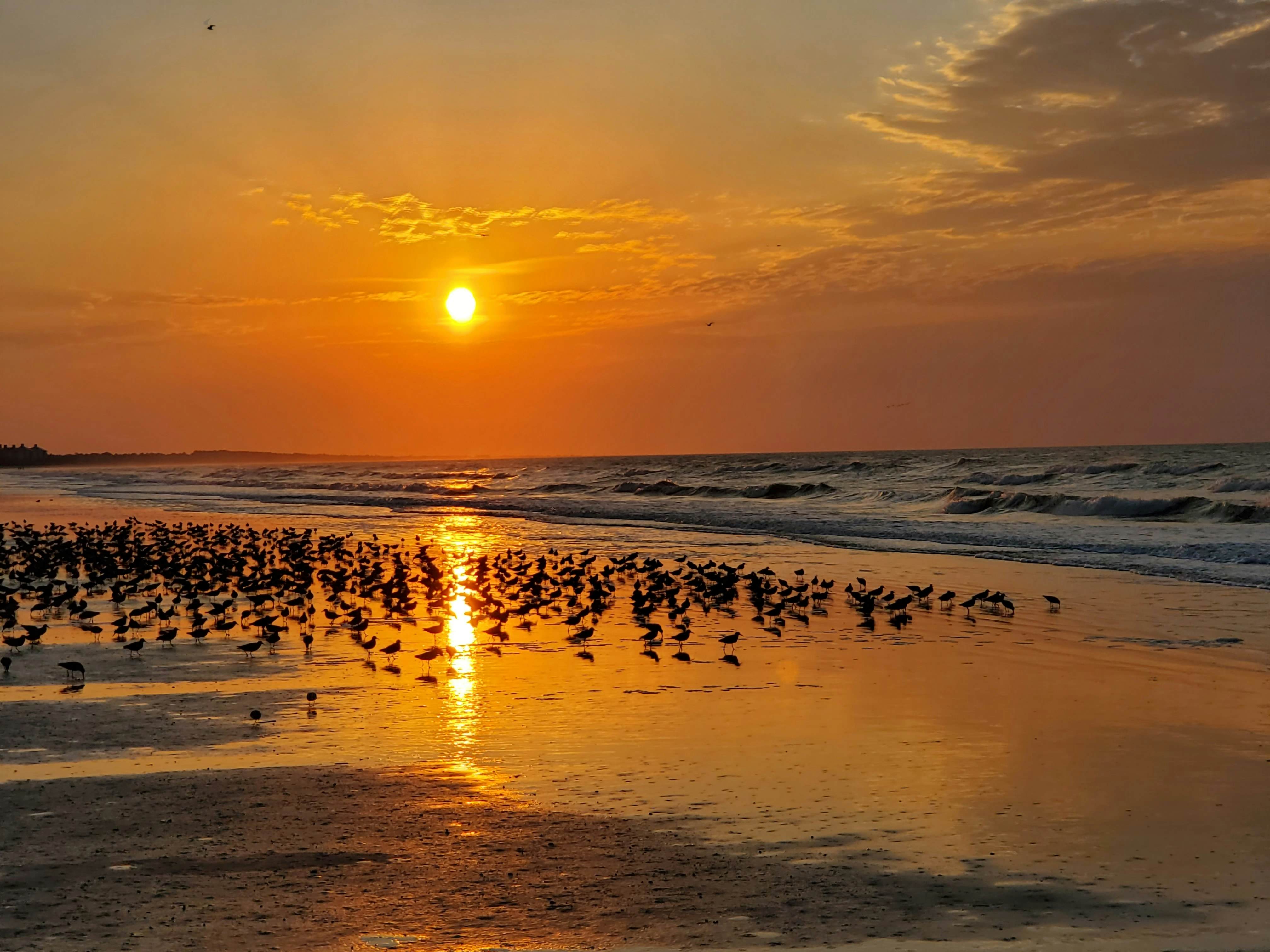 Spacious, dog-friendly home with screened porch, next to the beach path