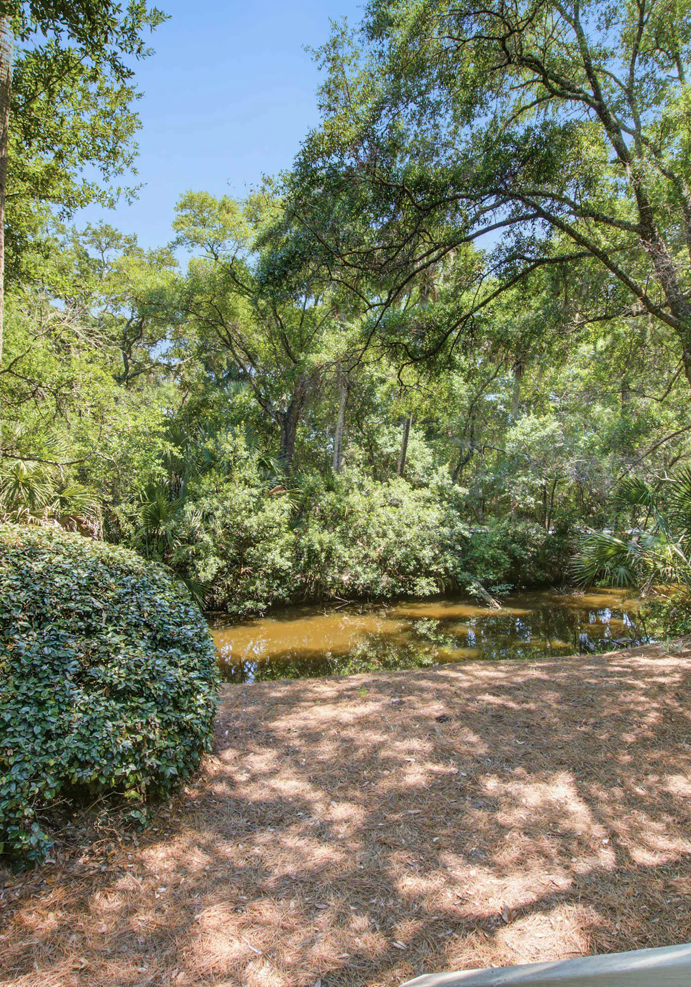 Shaded Lakeview Home with Deck & Screened Porch - Near Beach, Dogs OK