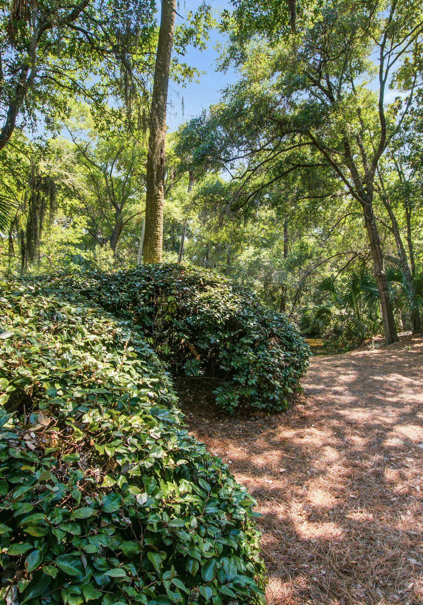 Shaded Lakeview Home with Deck & Screened Porch - Near Beach, Dogs OK