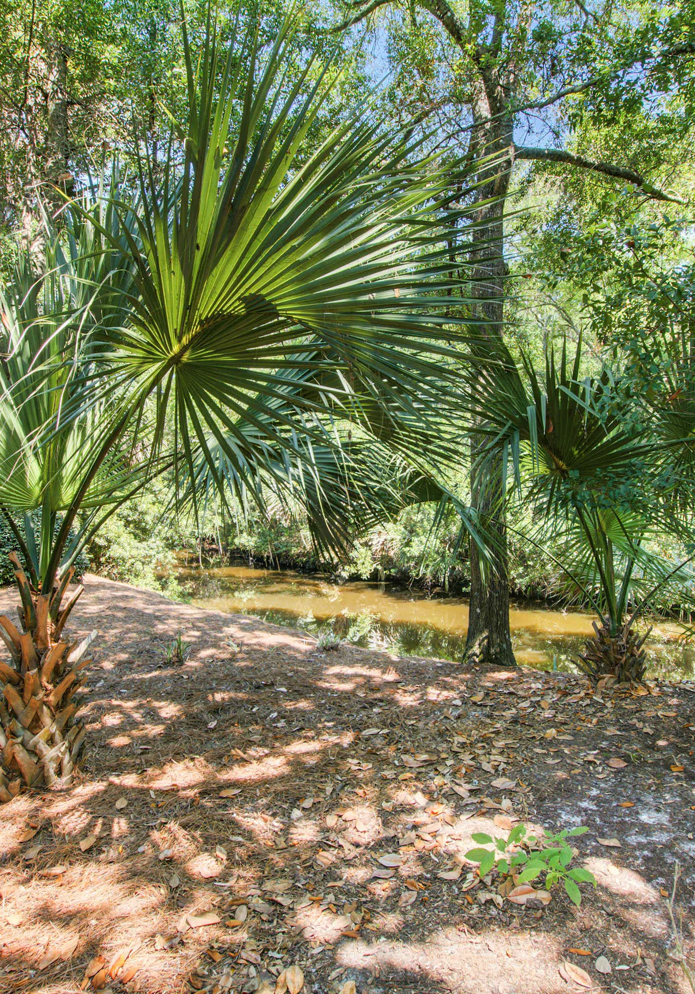 Shaded Lakeview Home with Deck & Screened Porch - Near Beach, Dogs OK