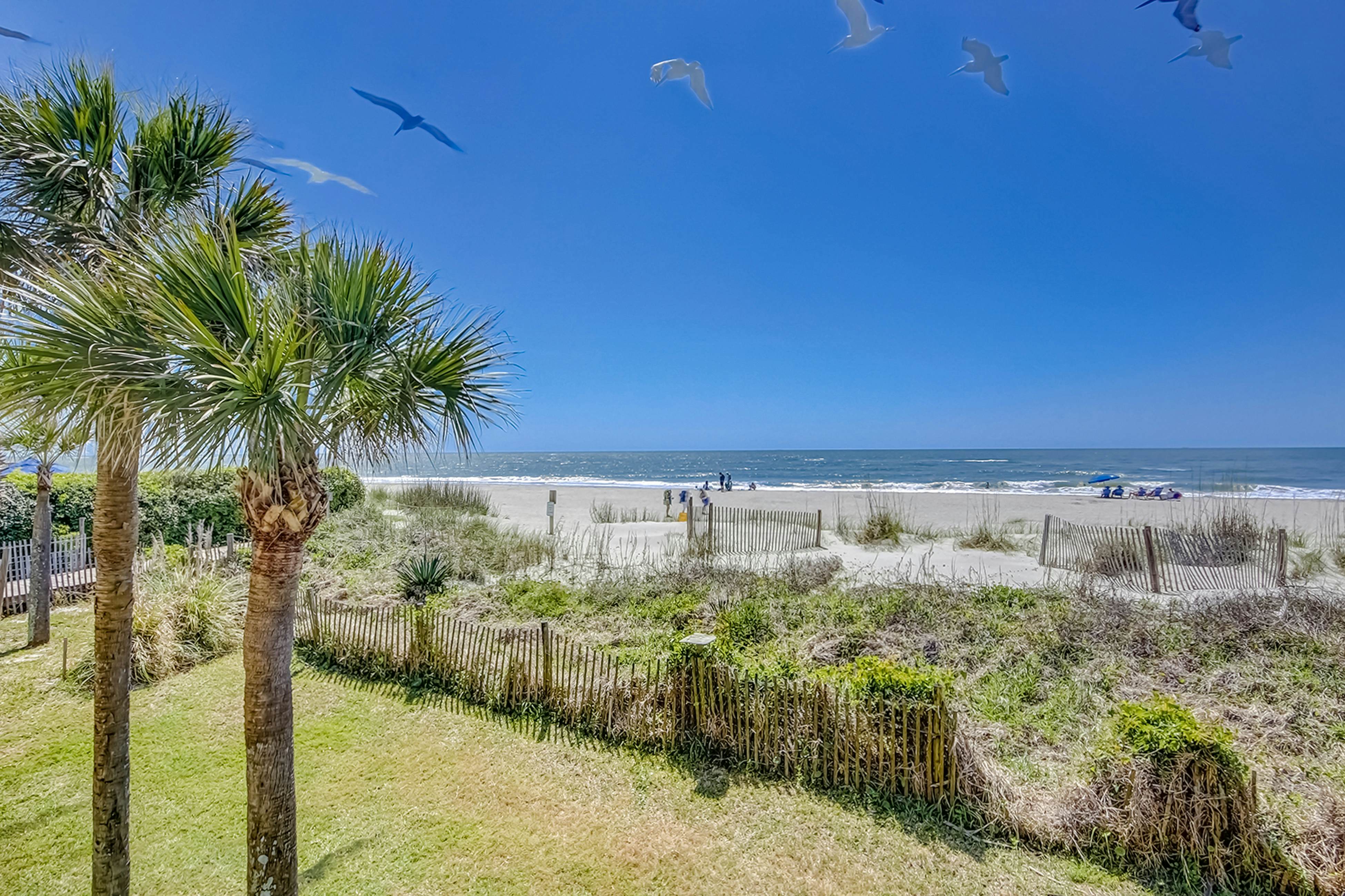 Oceanfront beach condo with WiFi, washer/dryer, pool - snowbirds welcome