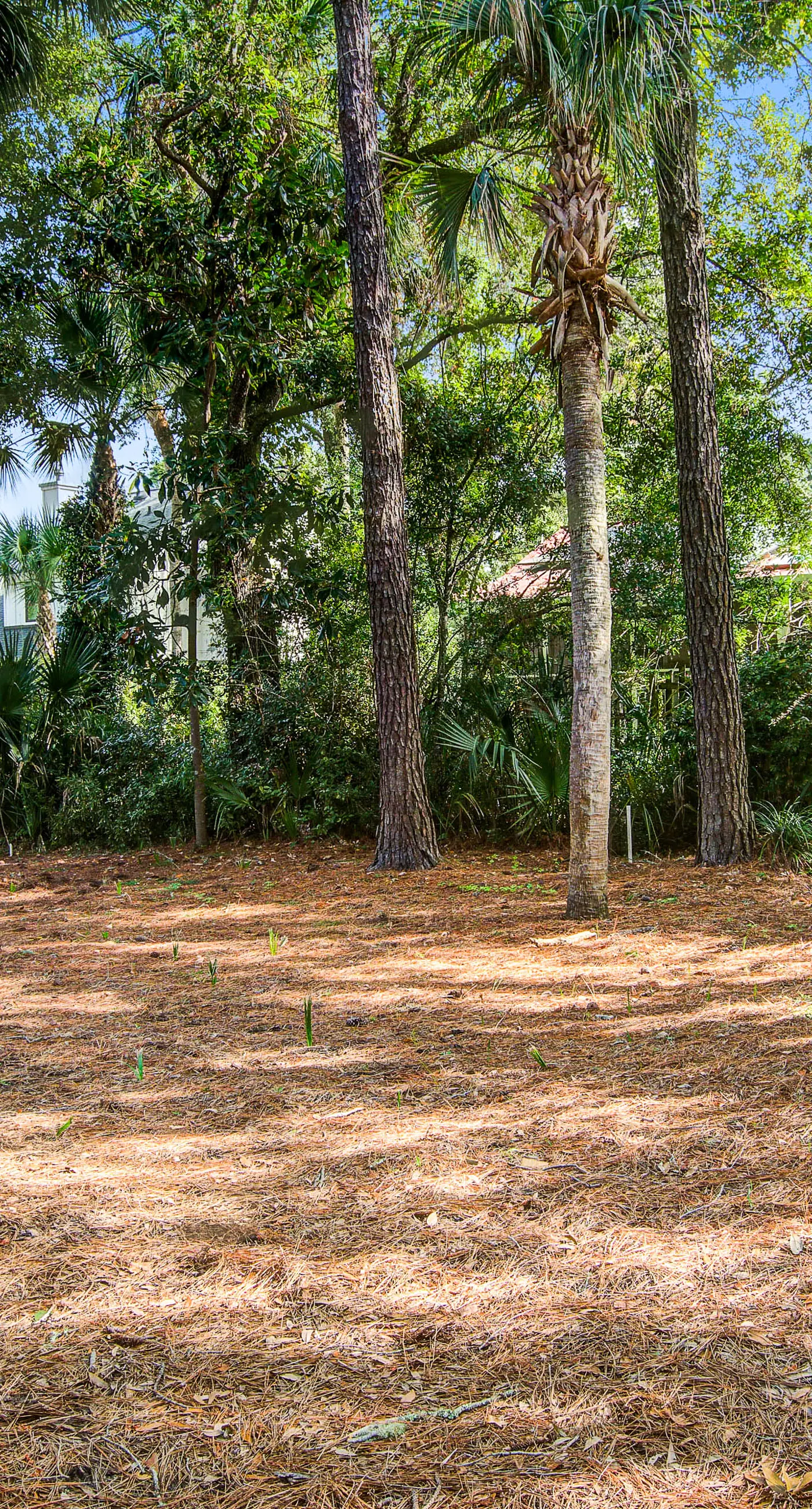 Stunning home, close to beach with large deck, pool & outdoor shower